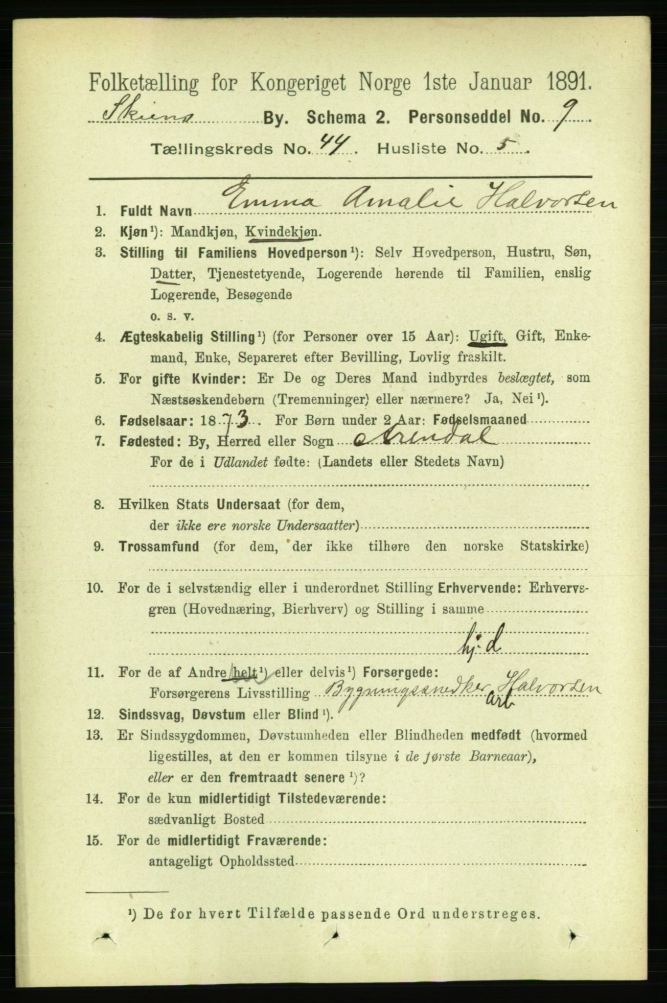 RA, 1891 census for 0806 Skien, 1891, p. 8813