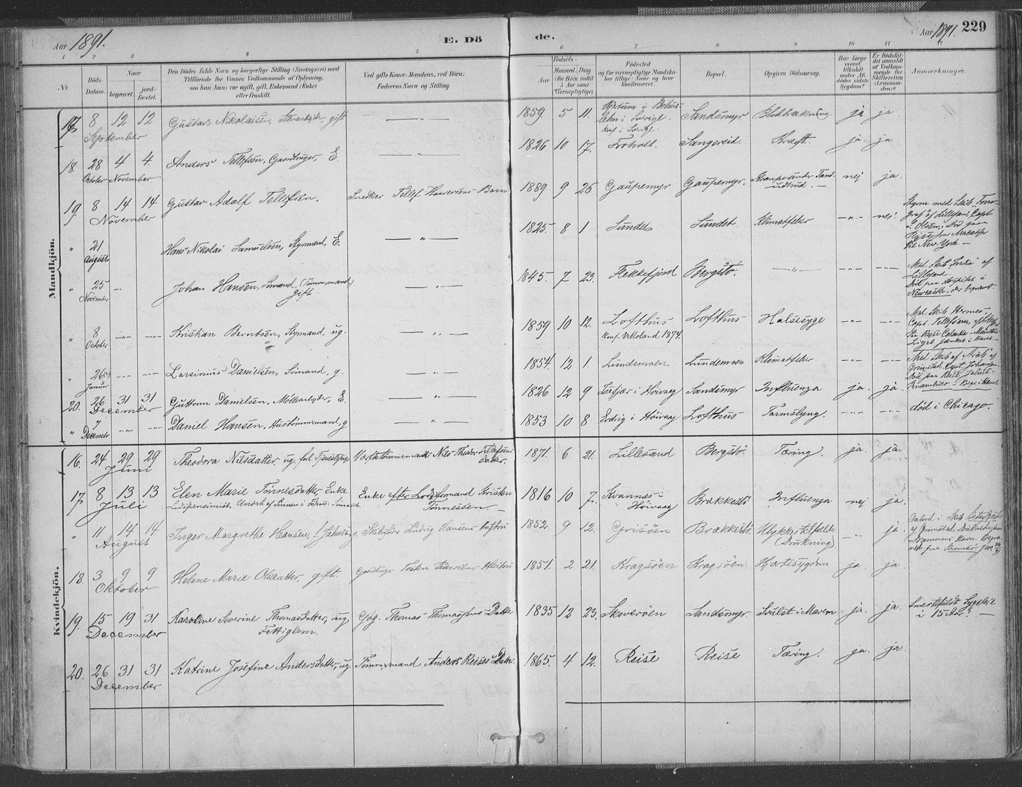 Vestre Moland sokneprestkontor, AV/SAK-1111-0046/F/Fa/Fab/L0009: Parish register (official) no. A 9, 1884-1899, p. 229