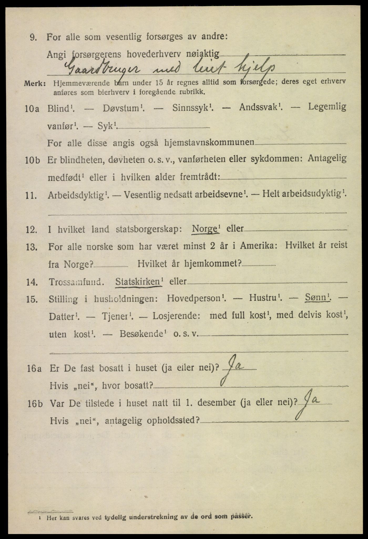 SAH, 1920 census for Lom, 1920, p. 5643