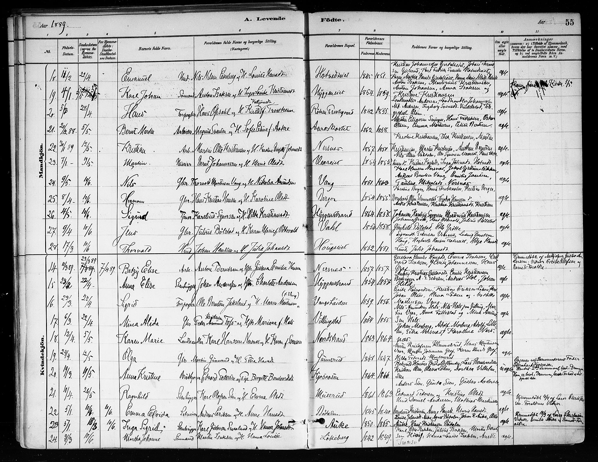 Røyken kirkebøker, SAKO/A-241/F/Fa/L0008: Parish register (official) no. 8, 1880-1897, p. 55