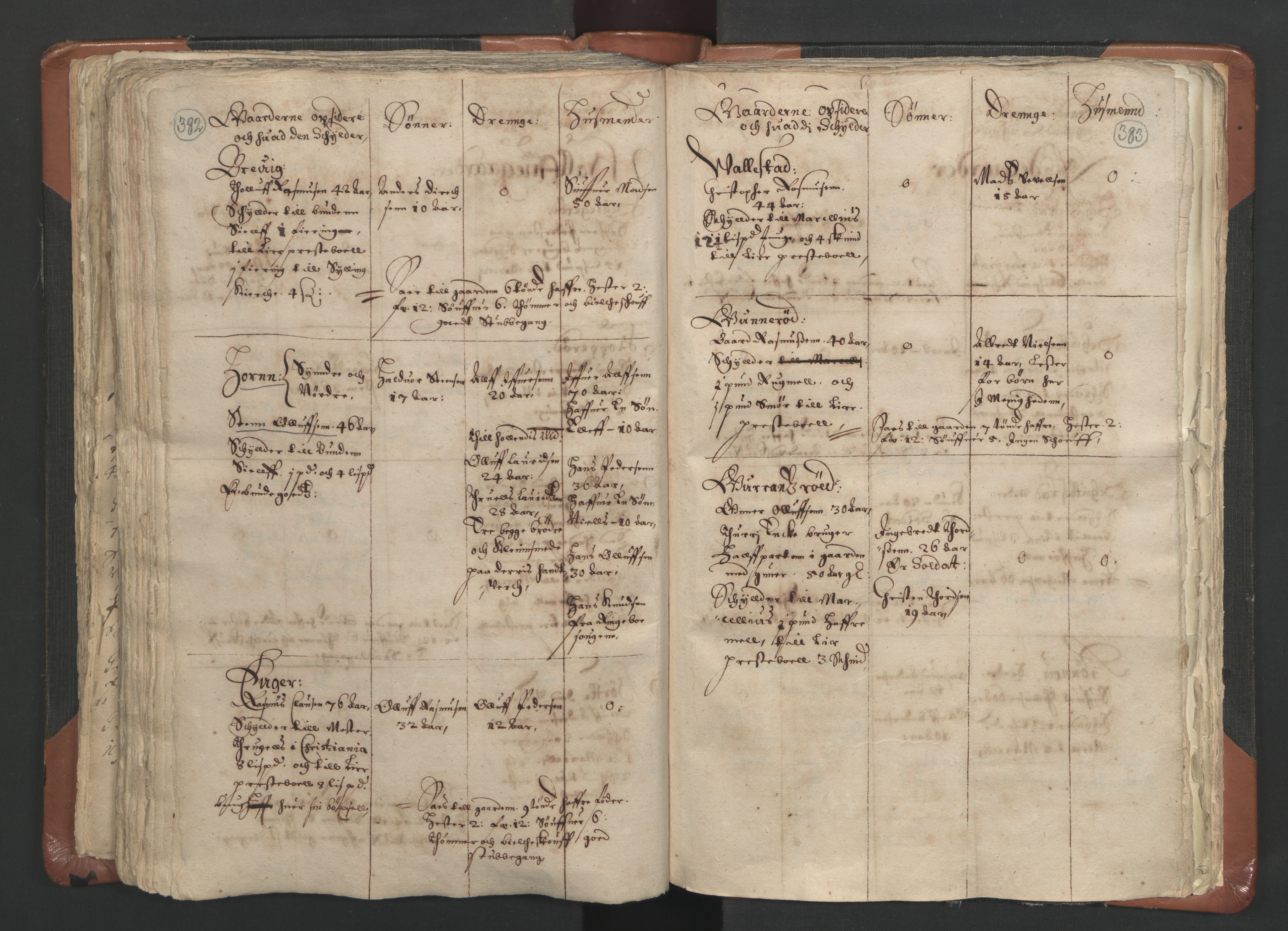 RA, Vicar's Census 1664-1666, no. 9: Bragernes deanery, 1664-1666, p. 382-383