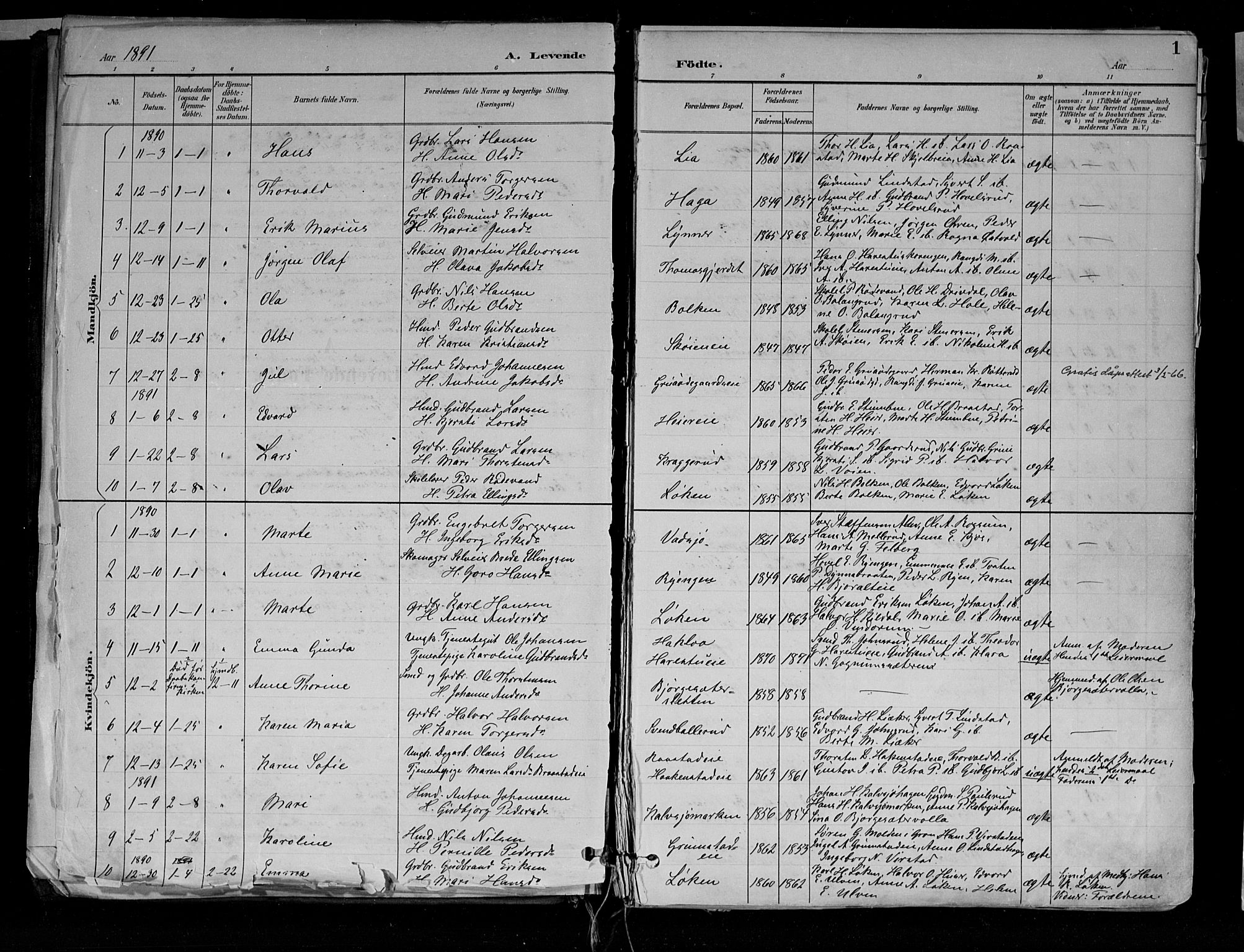 Jevnaker prestekontor, SAH/PREST-116/H/Ha/Haa/L0010: Parish register (official) no. 10, 1891-1906, p. 1