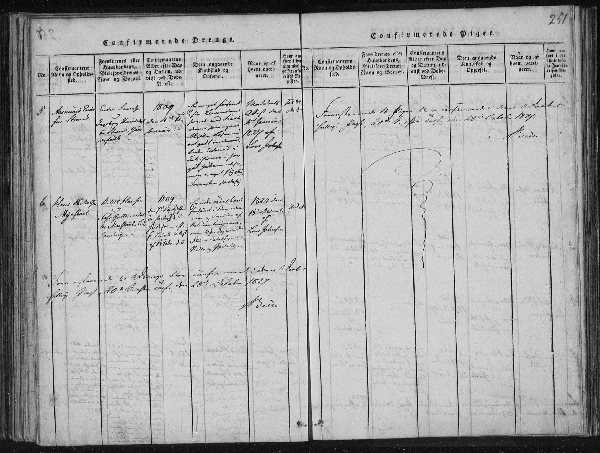 Lårdal kirkebøker, SAKO/A-284/F/Fc/L0001: Parish register (official) no. III 1, 1815-1860, p. 251