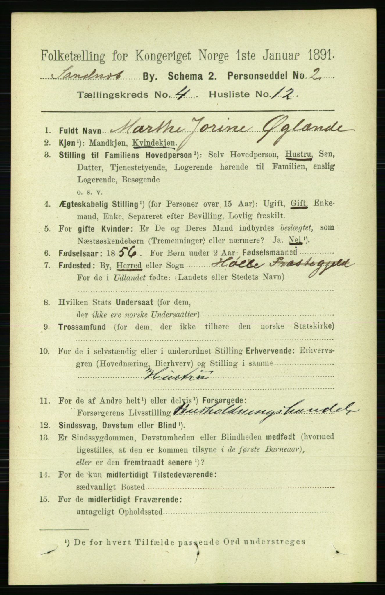 RA, 1891 census for 1102 Sandnes, 1891, p. 1853