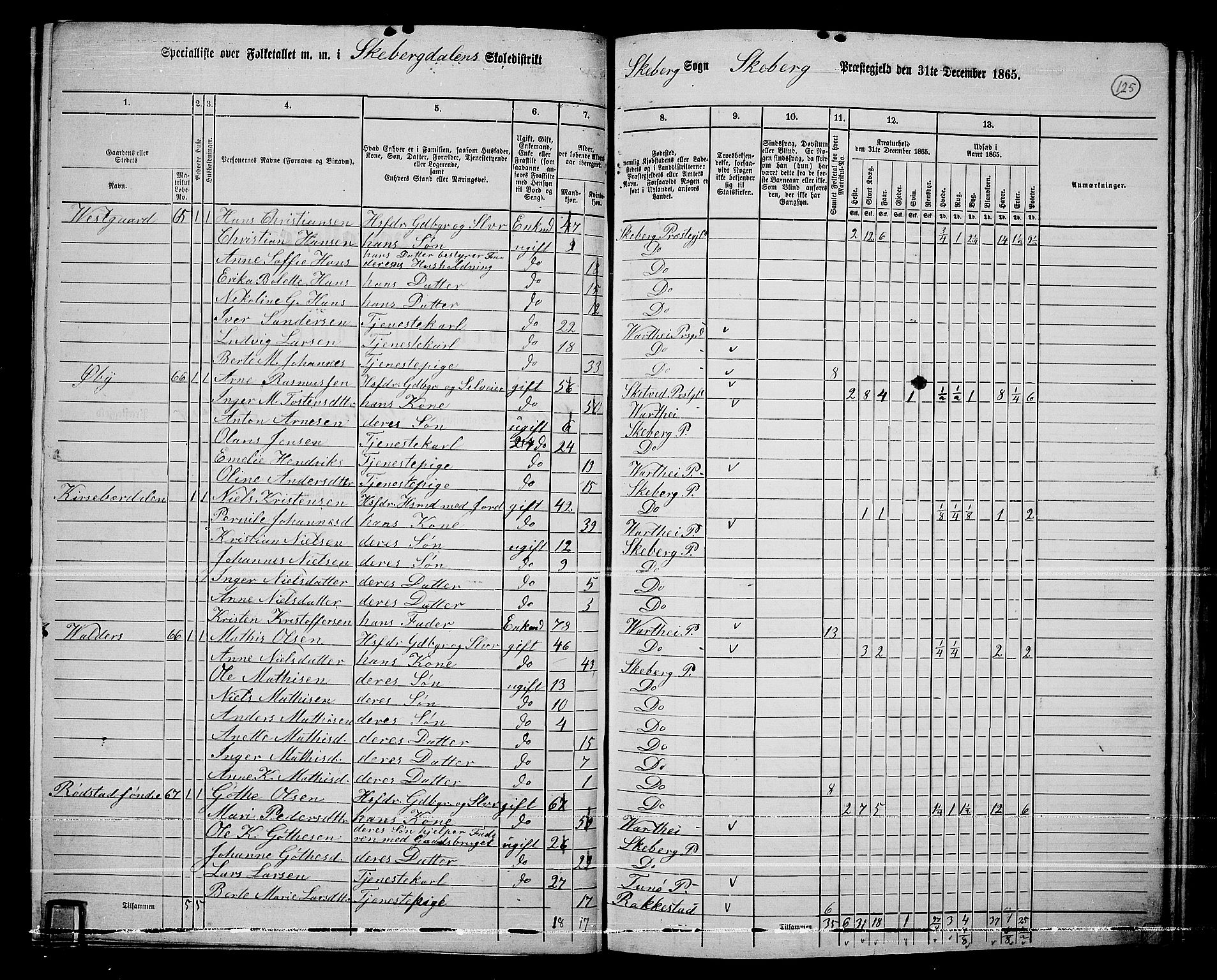 RA, 1865 census for Skjeberg, 1865, p. 116