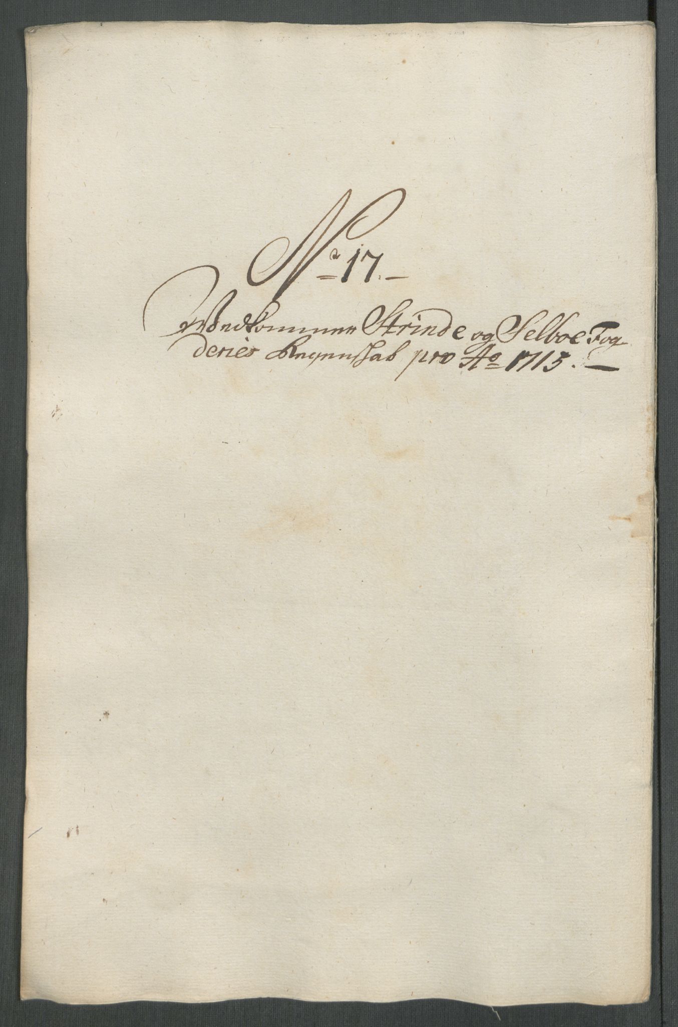 Rentekammeret inntil 1814, Reviderte regnskaper, Fogderegnskap, AV/RA-EA-4092/R61/L4115: Fogderegnskap Strinda og Selbu, 1715-1716, p. 146