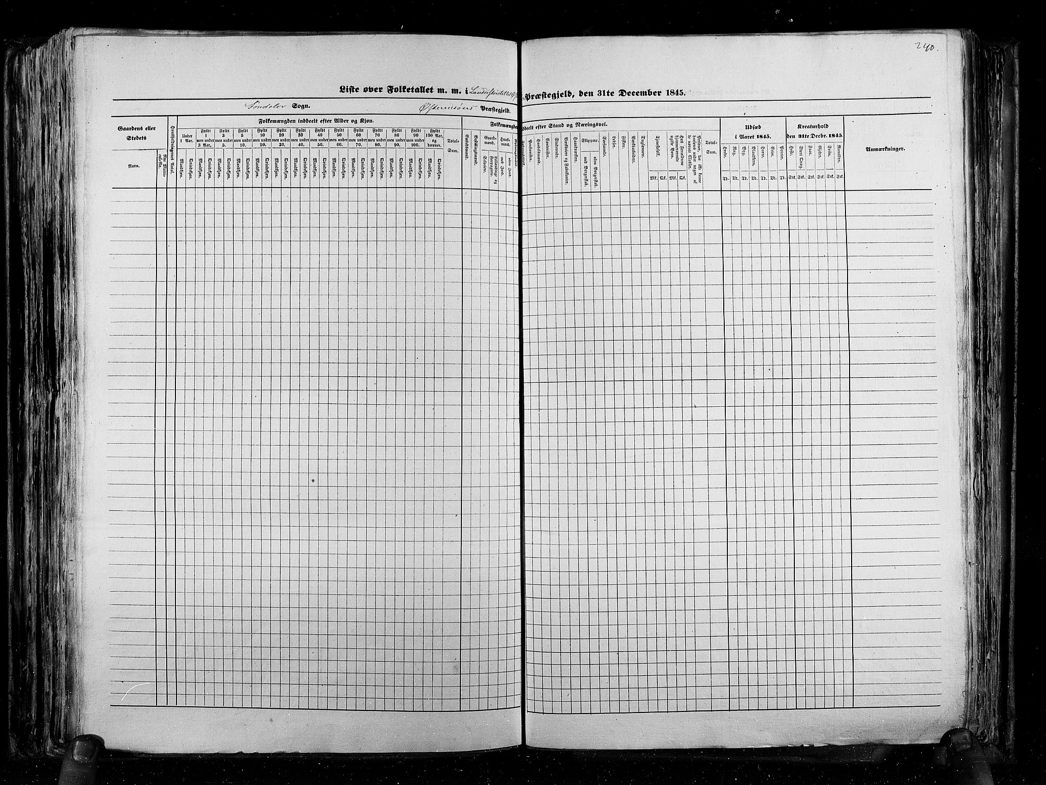 RA, Census 1845, vol. 5: Bratsberg amt og Nedenes og Råbyggelaget amt, 1845, p. 240