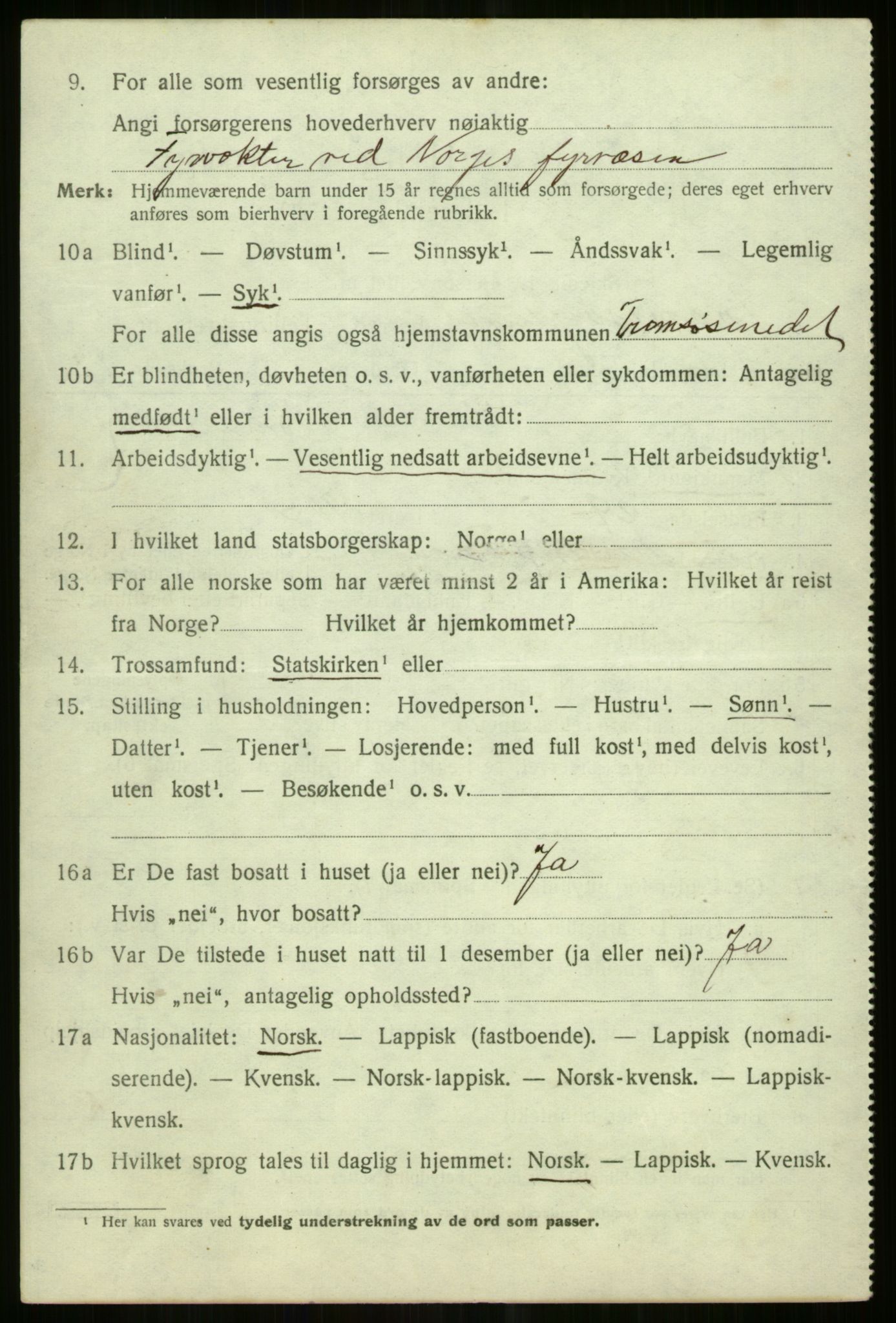 SATØ, 1920 census for Tromsøysund, 1920, p. 11727