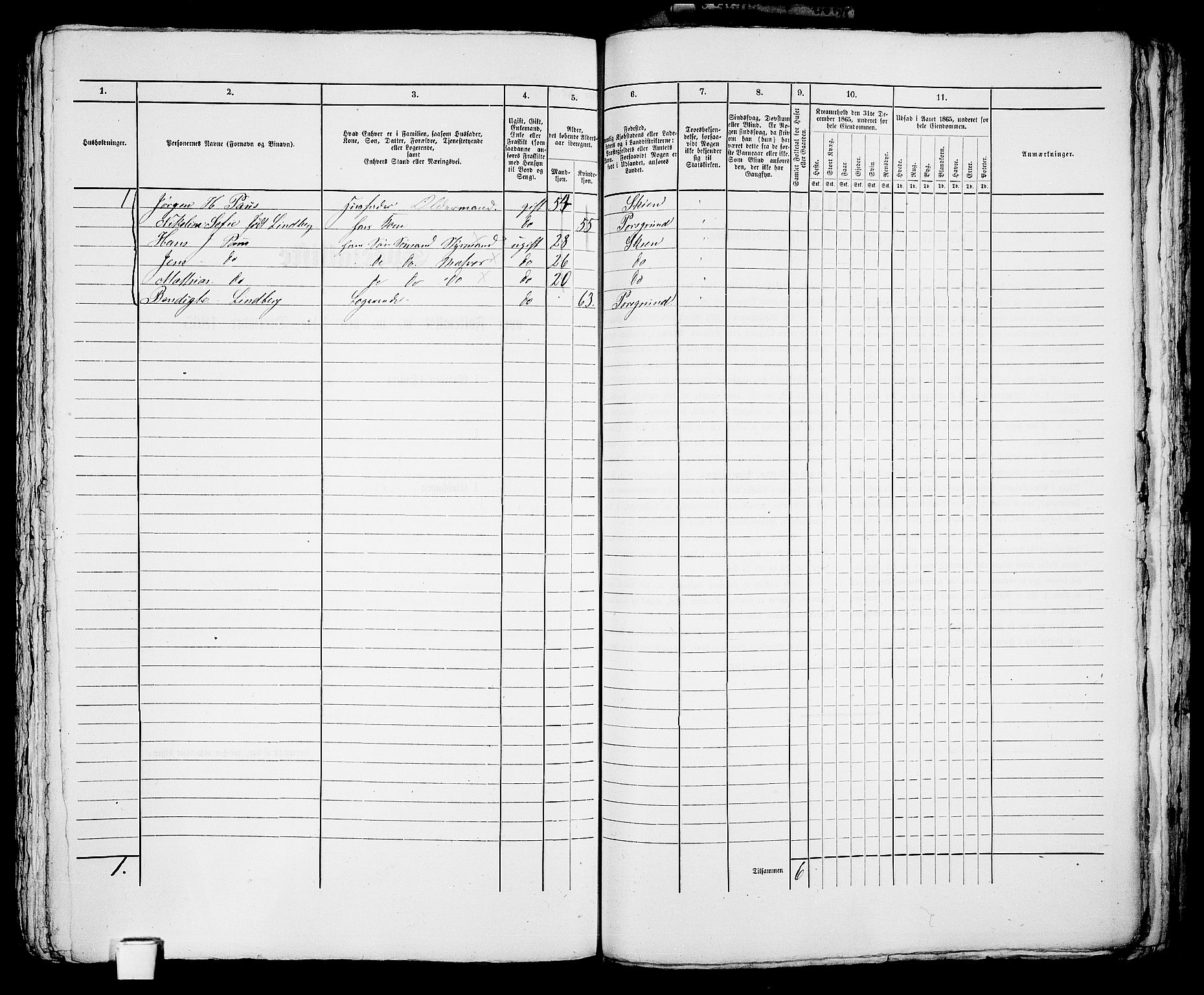 RA, 1865 census for Skien, 1865, p. 1201