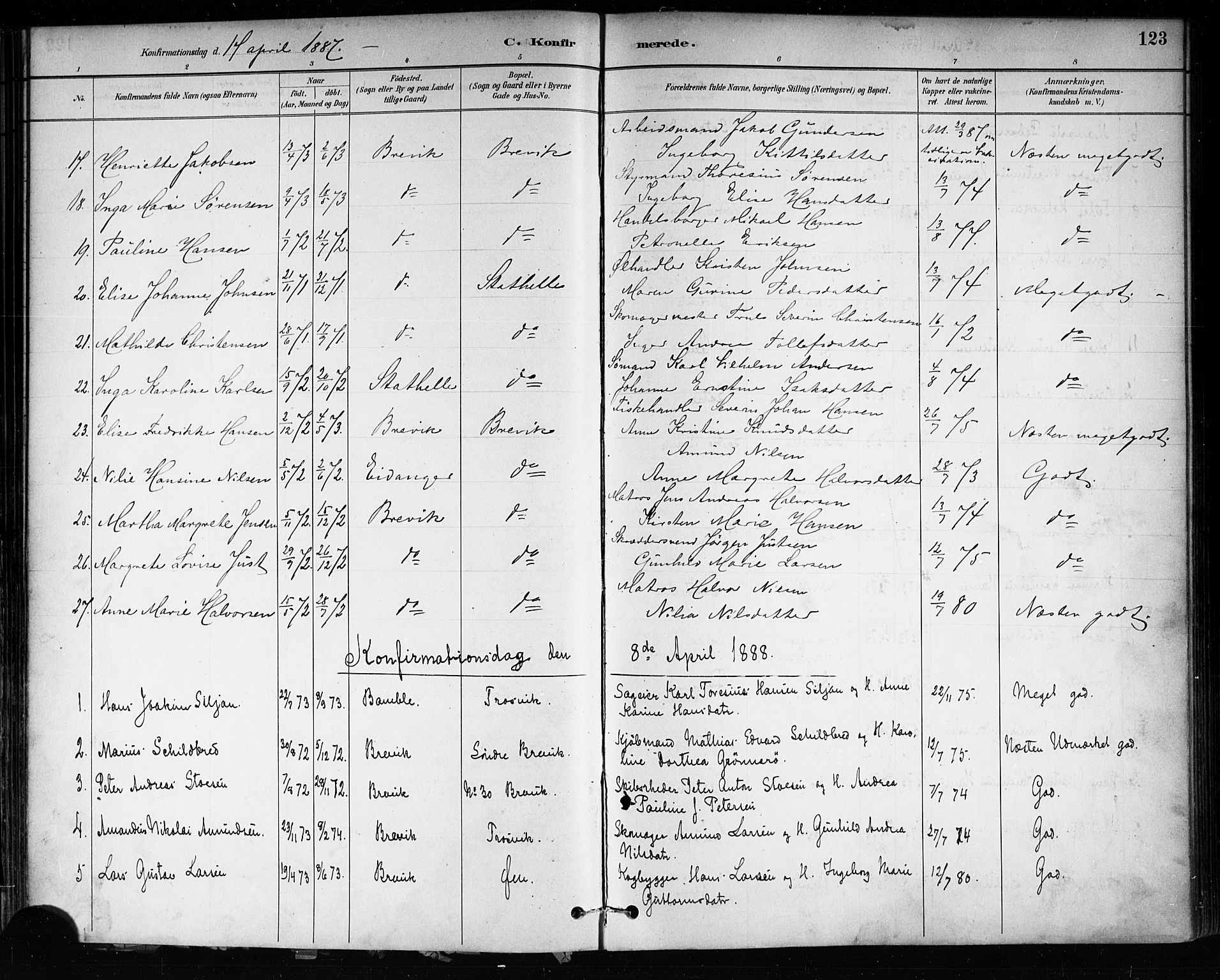 Brevik kirkebøker, SAKO/A-255/F/Fa/L0007: Parish register (official) no. 7, 1882-1900, p. 123