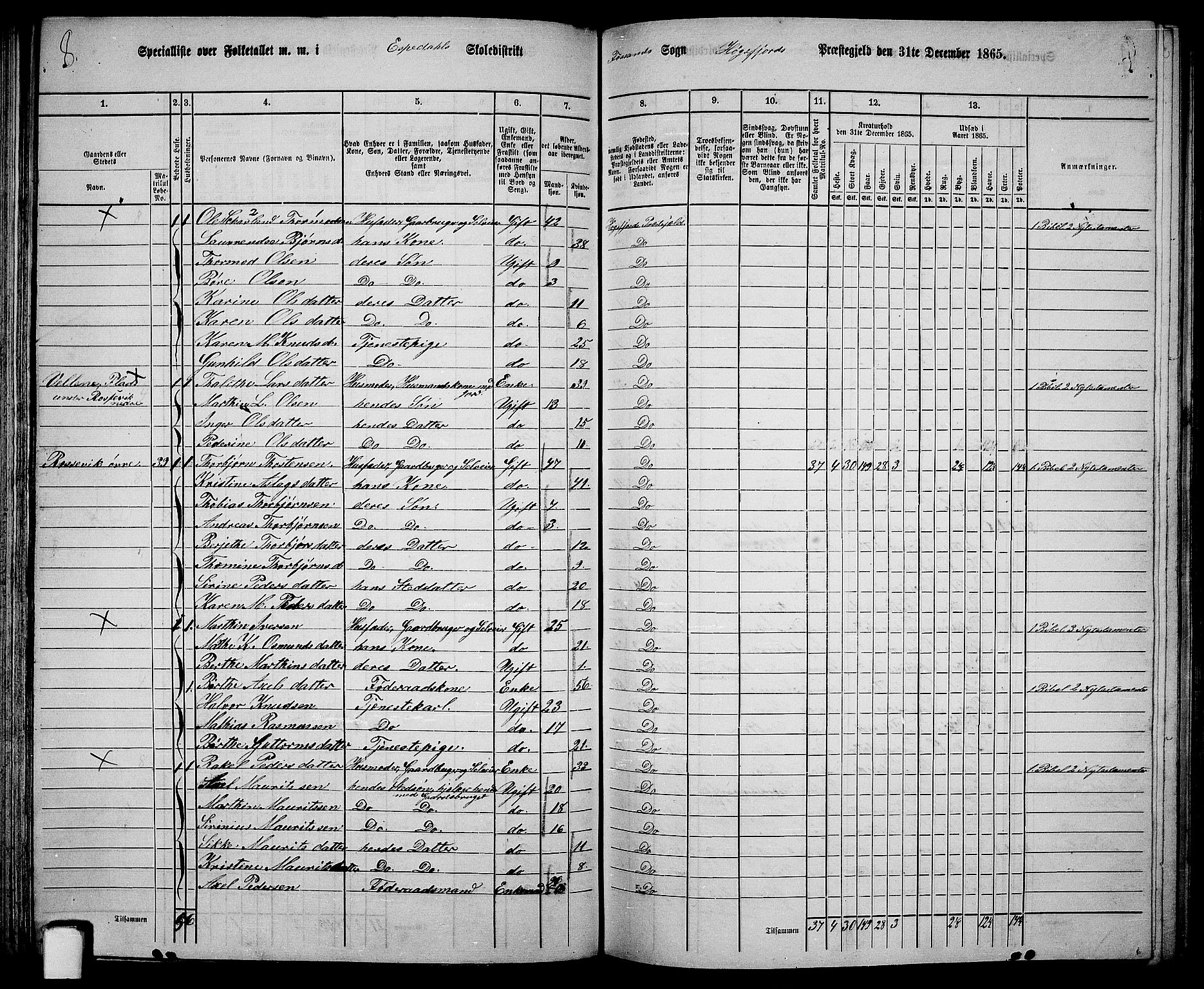 RA, 1865 census for Høgsfjord, 1865, p. 55