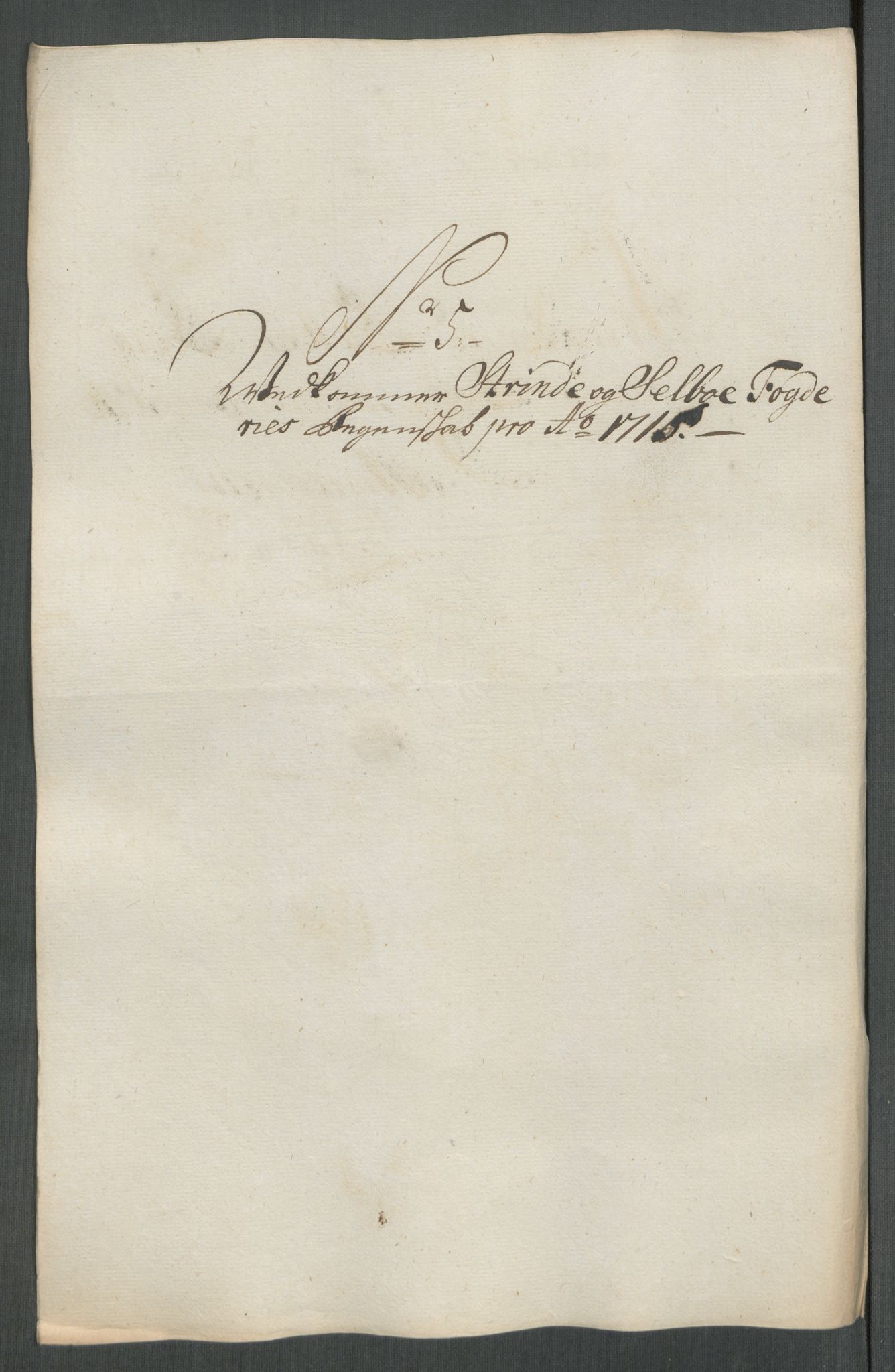 Rentekammeret inntil 1814, Reviderte regnskaper, Fogderegnskap, AV/RA-EA-4092/R61/L4115: Fogderegnskap Strinda og Selbu, 1715-1716, p. 88