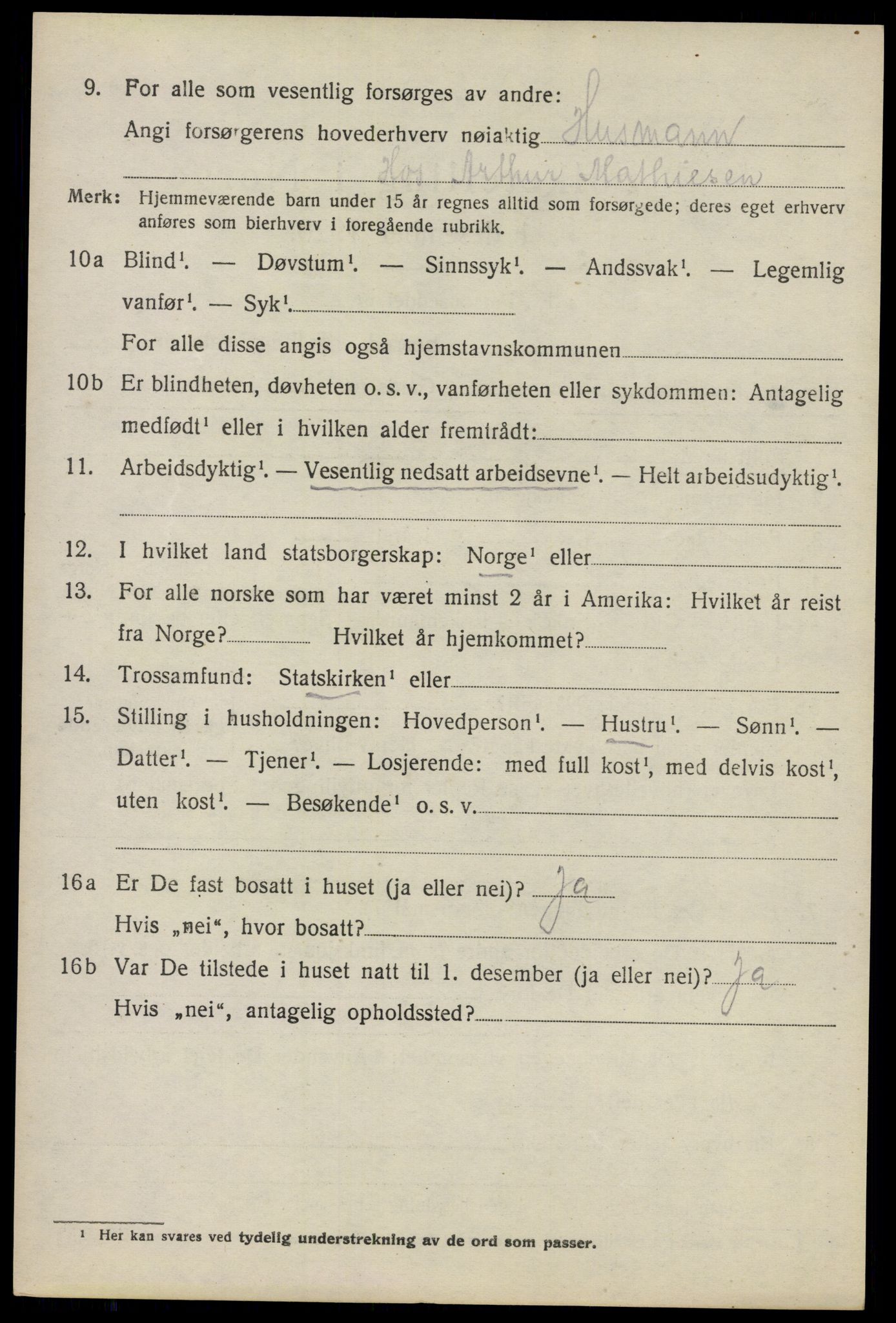 SAO, 1920 census for Nes, 1920, p. 21917