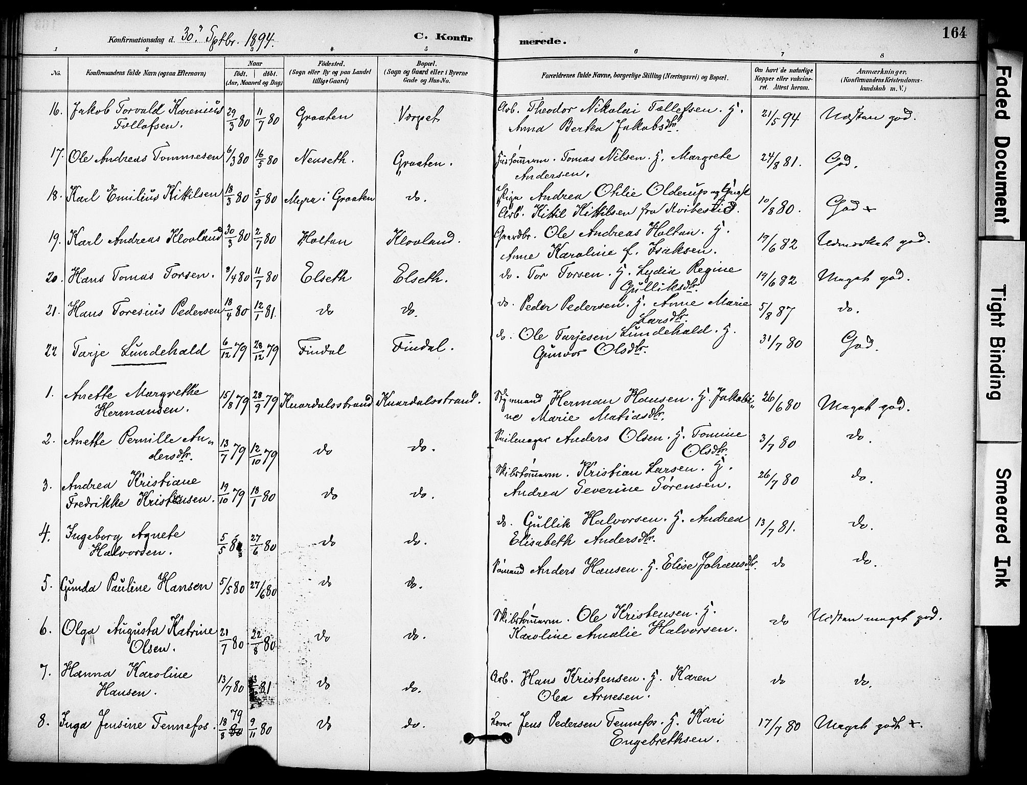 Solum kirkebøker, SAKO/A-306/F/Fa/L0010: Parish register (official) no. I 10, 1888-1898, p. 164