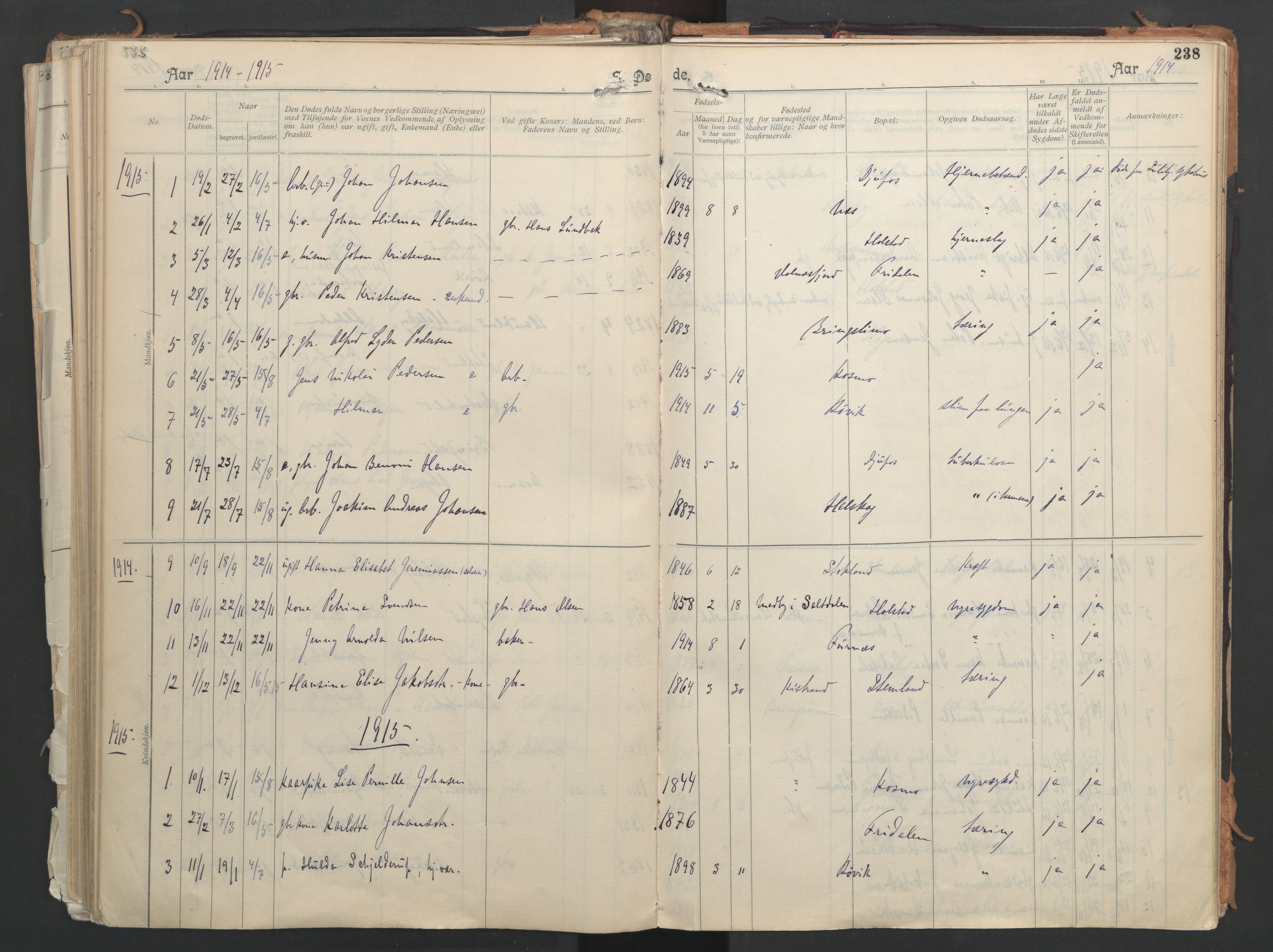 Ministerialprotokoller, klokkerbøker og fødselsregistre - Nordland, AV/SAT-A-1459/851/L0724: Parish register (official) no. 851A01, 1901-1922, p. 238