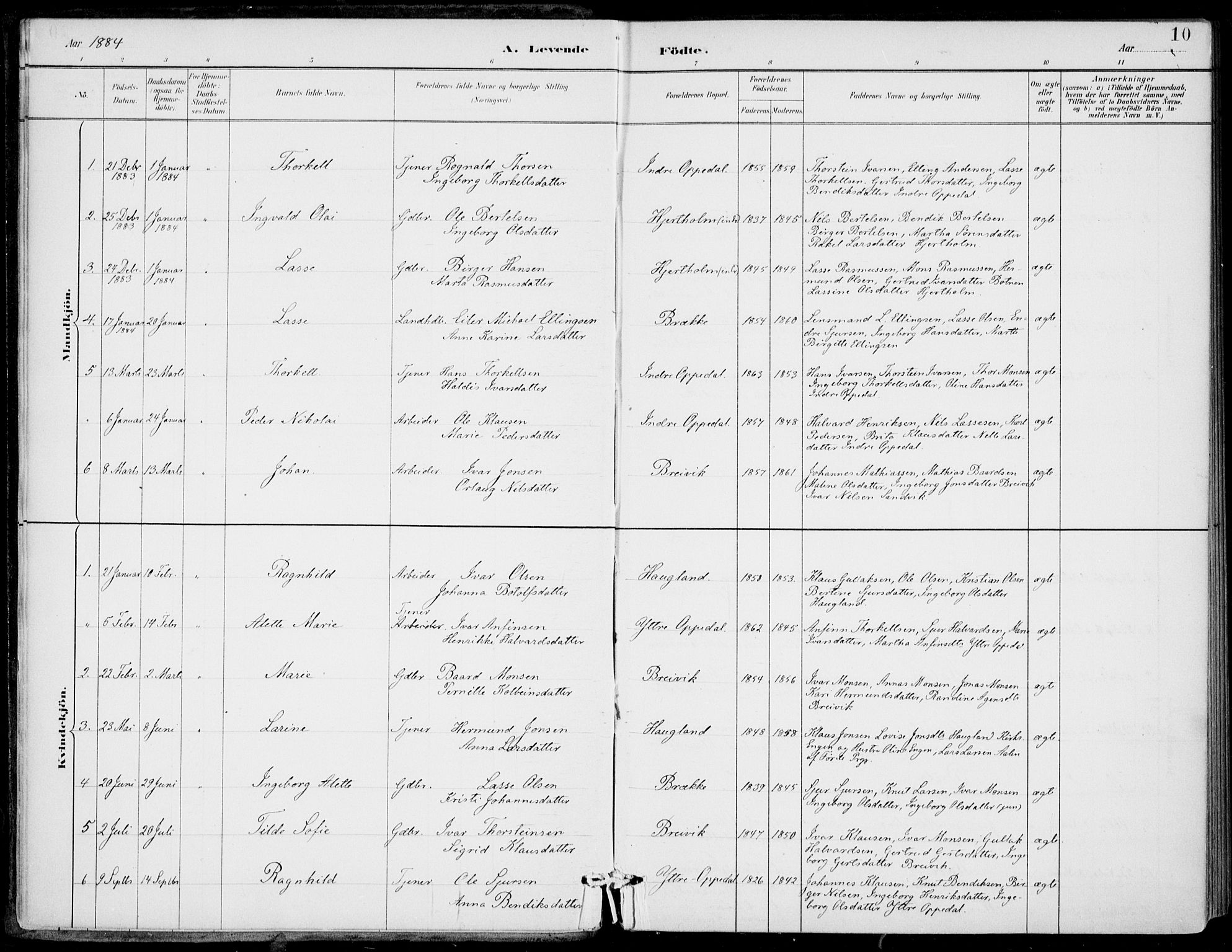 Gulen sokneprestembete, AV/SAB-A-80201/H/Haa/Haac/L0002: Parish register (official) no. C  2, 1882-1914, p. 10