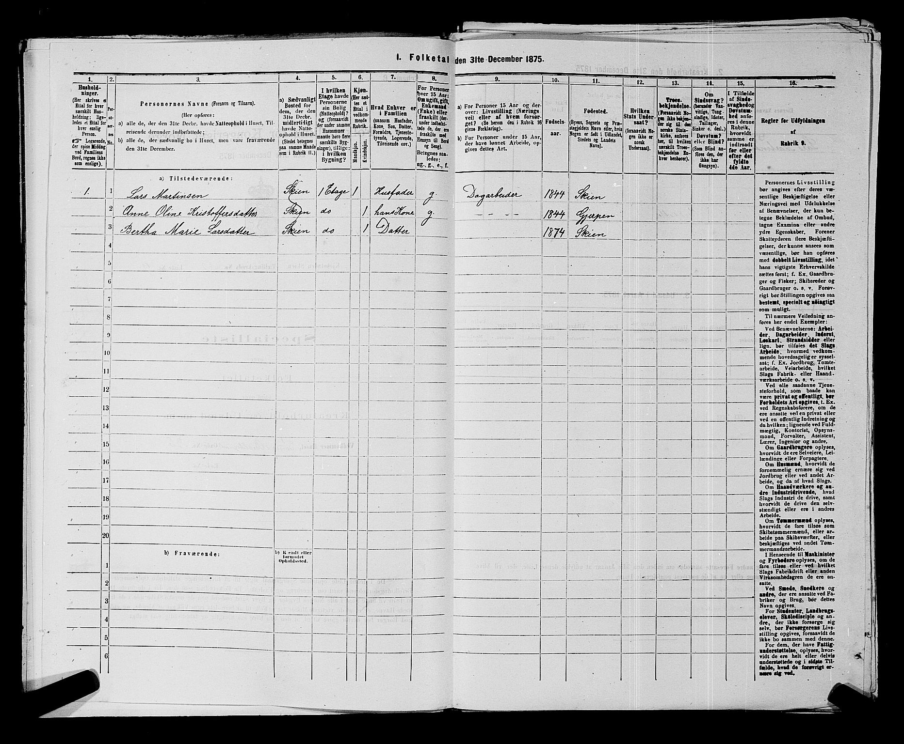 SAKO, 1875 census for 0806P Skien, 1875, p. 980