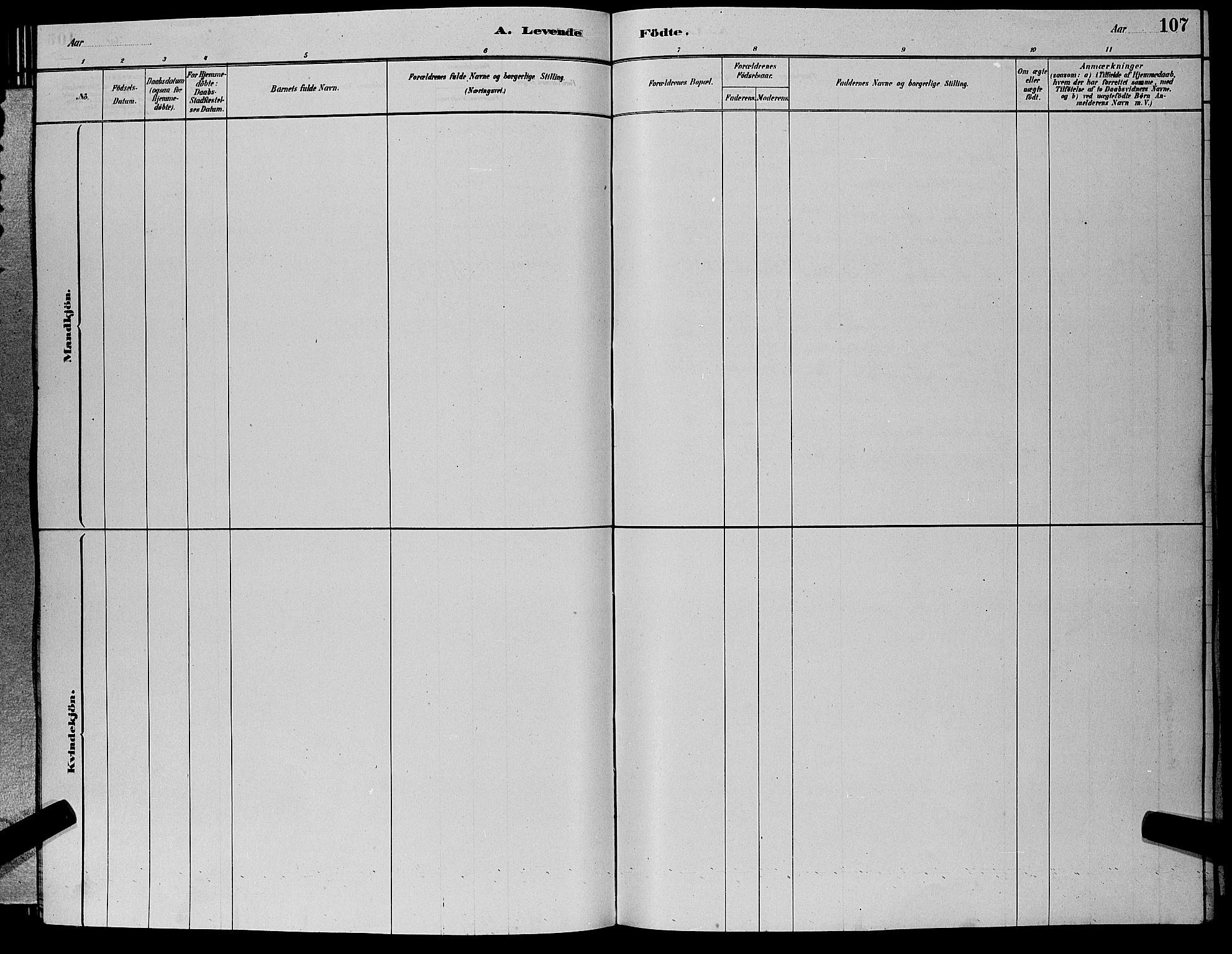 Hole kirkebøker, AV/SAKO-A-228/G/Ga/L0003: Parish register (copy) no. I 3, 1879-1904, p. 107