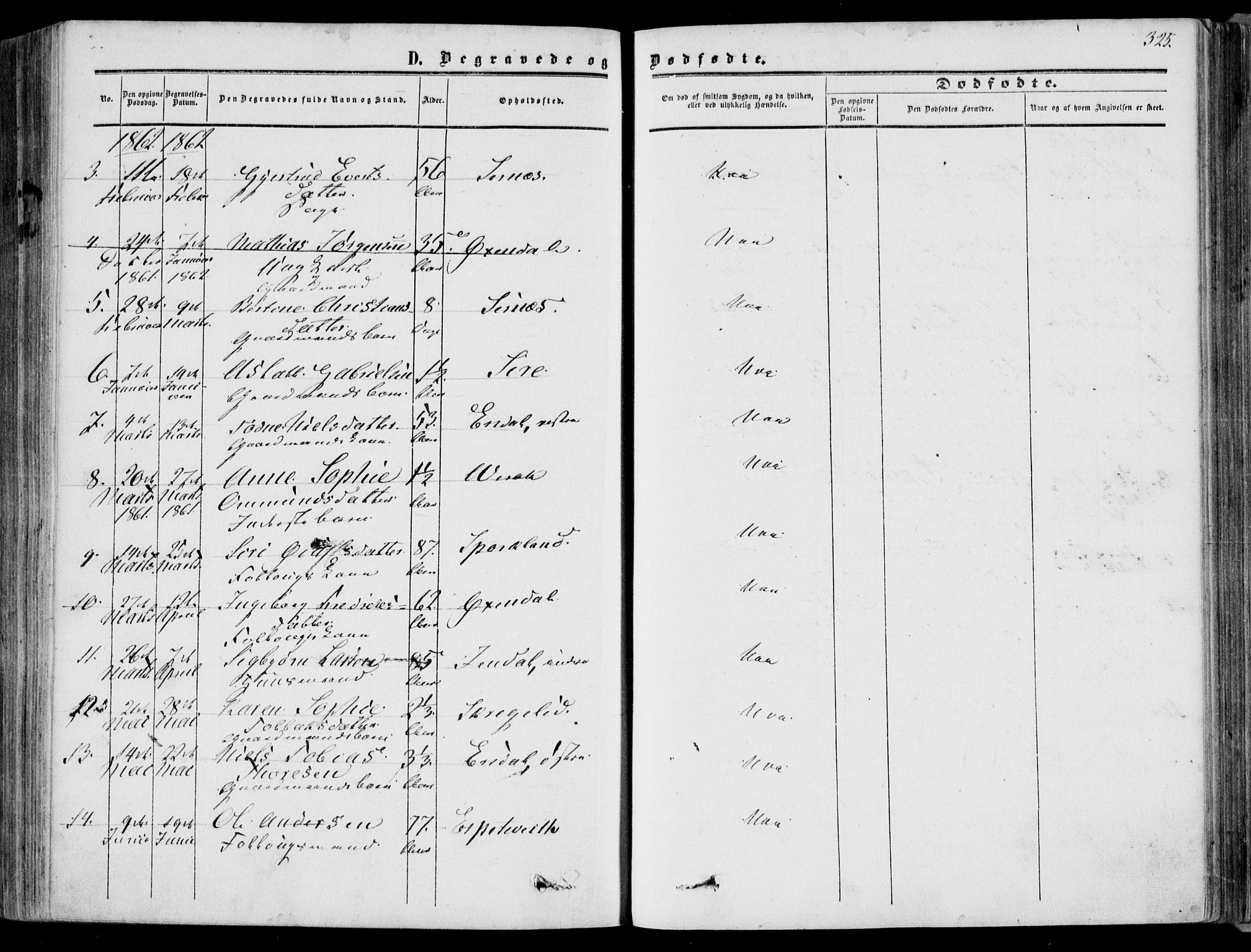 Bakke sokneprestkontor, AV/SAK-1111-0002/F/Fa/Faa/L0006: Parish register (official) no. A 6, 1855-1877, p. 325