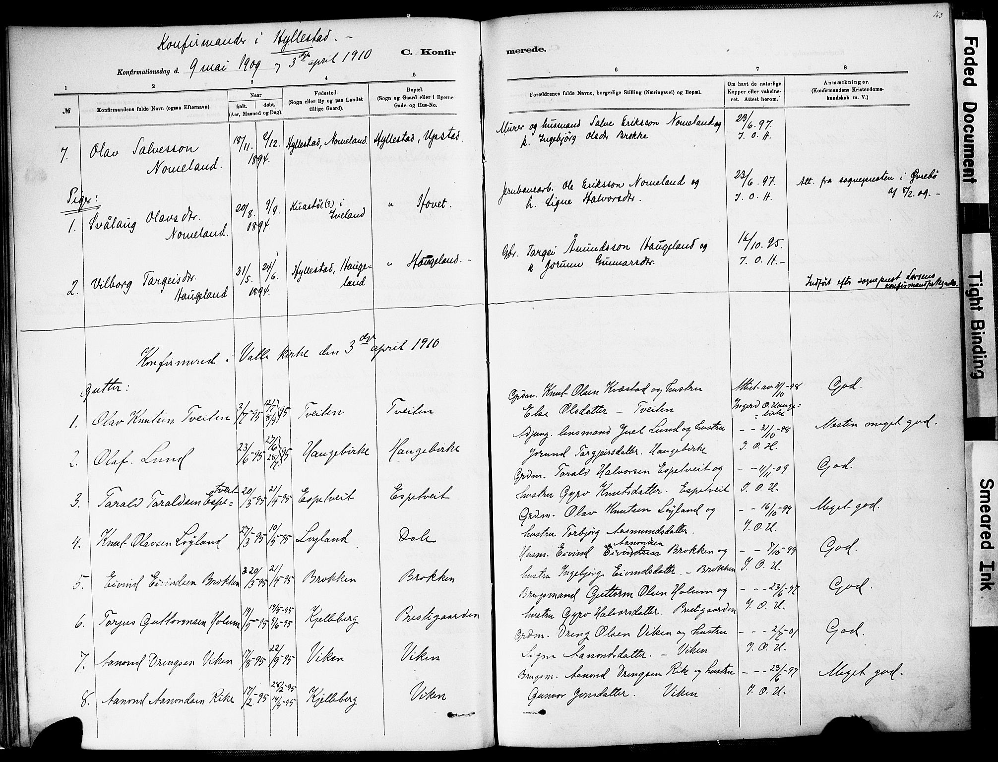 Valle sokneprestkontor, AV/SAK-1111-0044/F/Fa/Fac/L0009: Parish register (official) no. A 9, 1882-1913, p. 163