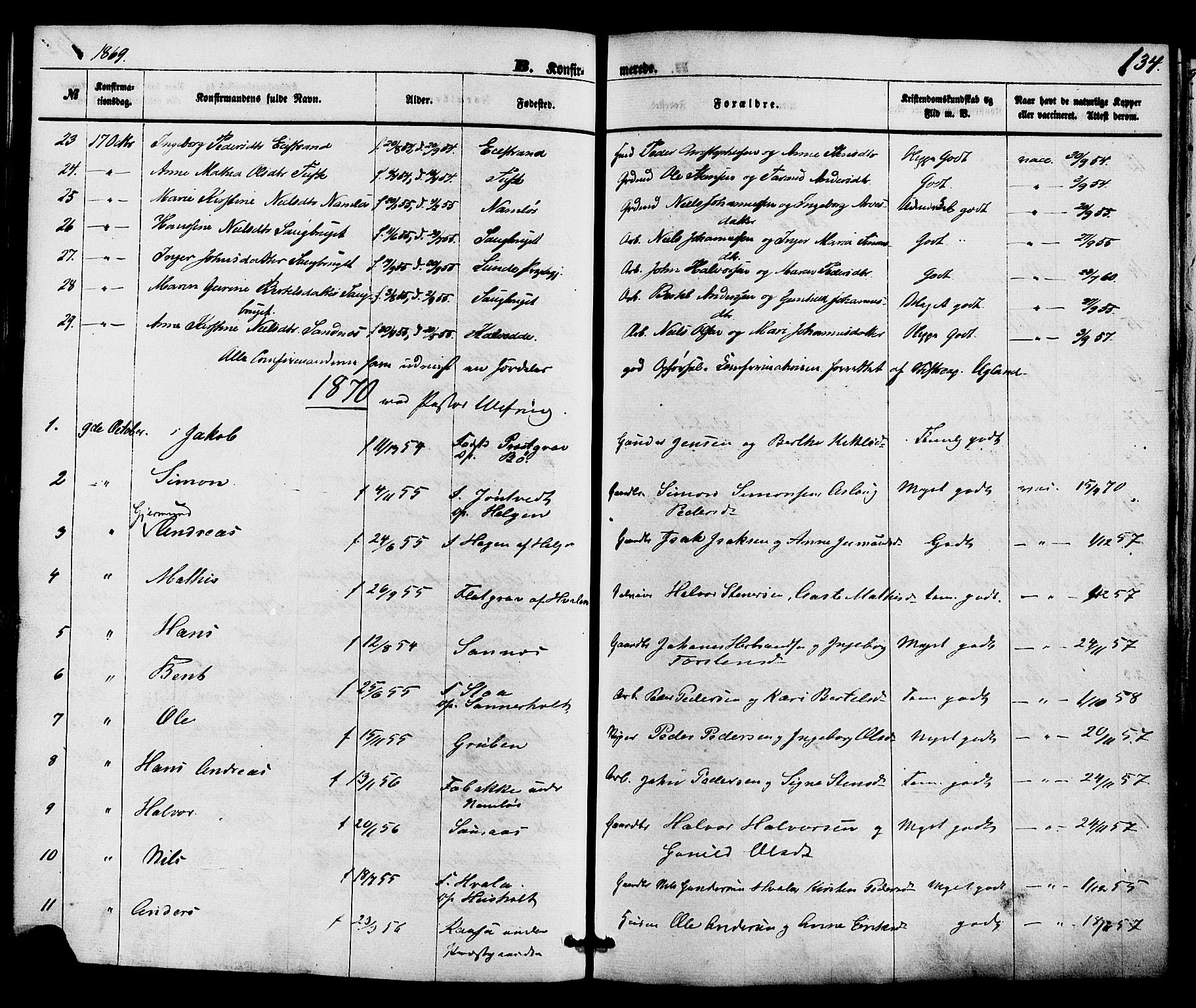 Holla kirkebøker, AV/SAKO-A-272/F/Fa/L0007: Parish register (official) no. 7, 1869-1881, p. 134