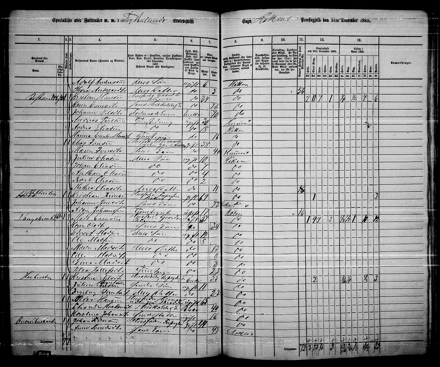 RA, 1865 census for Røyken, 1865, p. 102