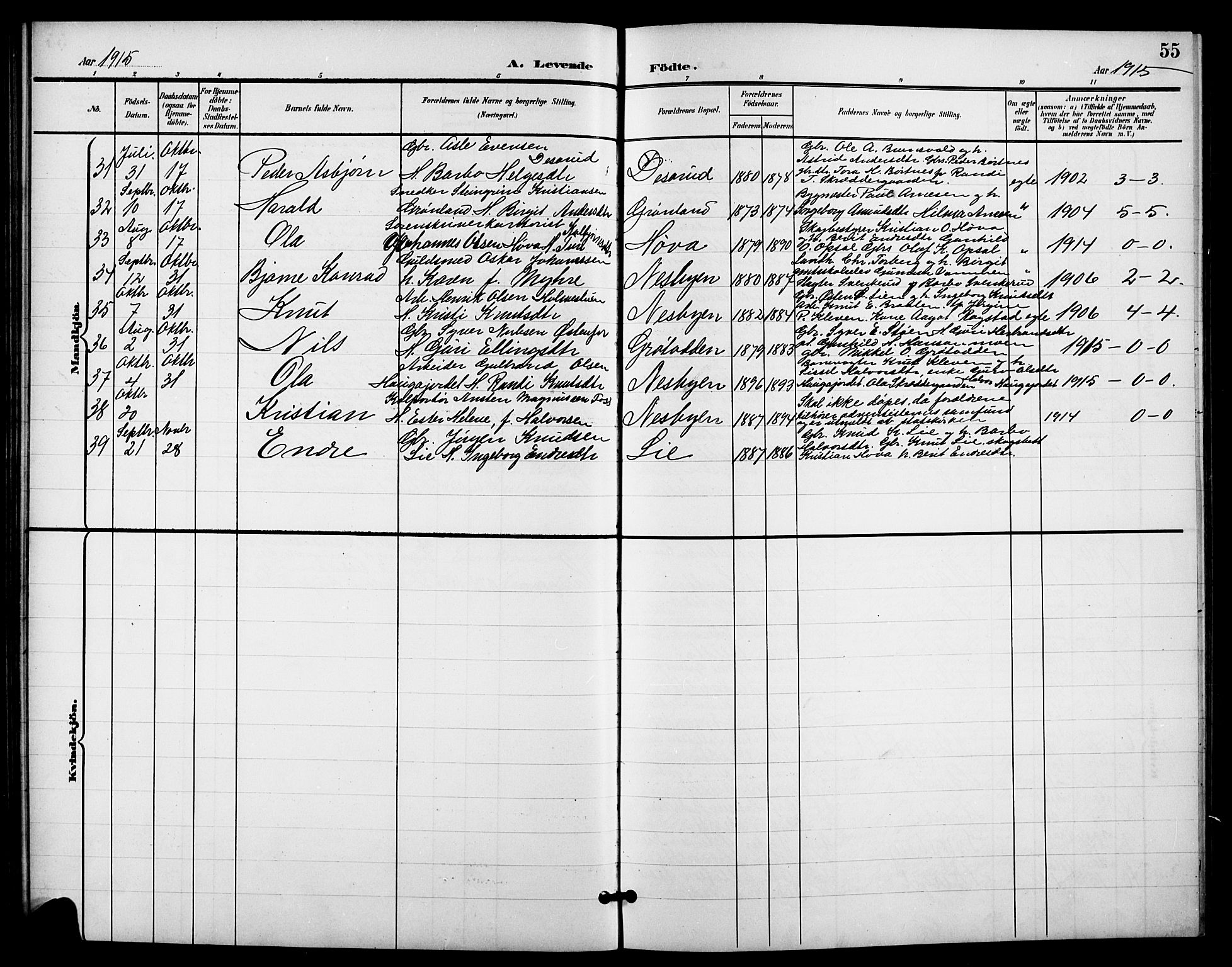 Nes kirkebøker, AV/SAKO-A-236/G/Ga/L0004: Parish register (copy) no. I 4, 1900-1925, p. 55