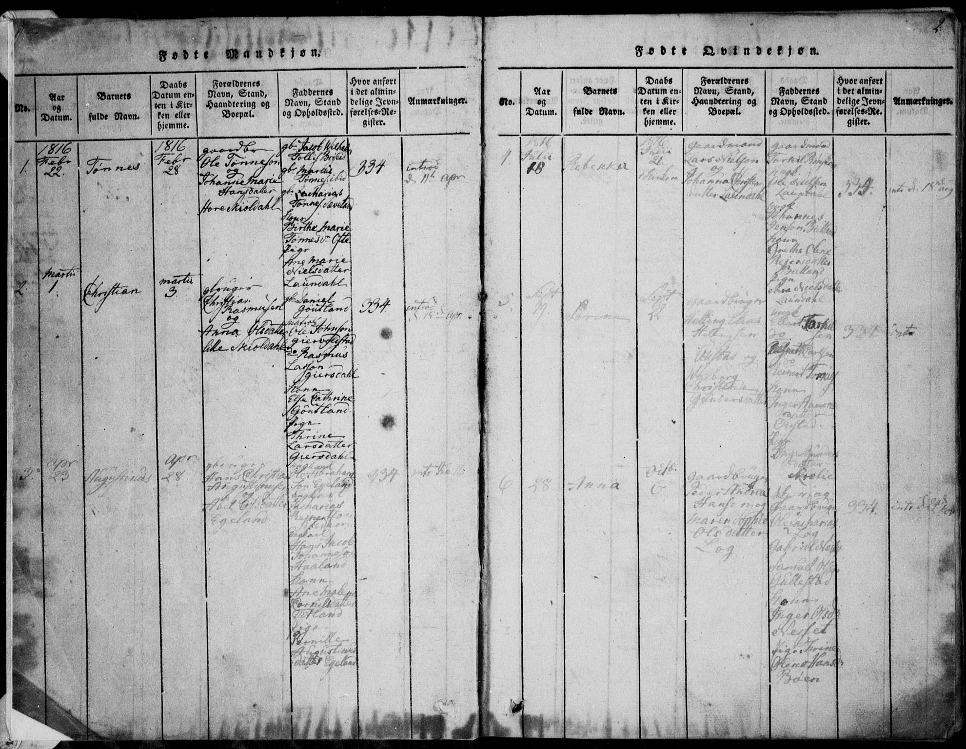 Herad sokneprestkontor, AV/SAK-1111-0018/F/Fa/Faa/L0003: Parish register (official) no. A 3, 1816-1844, p. 2