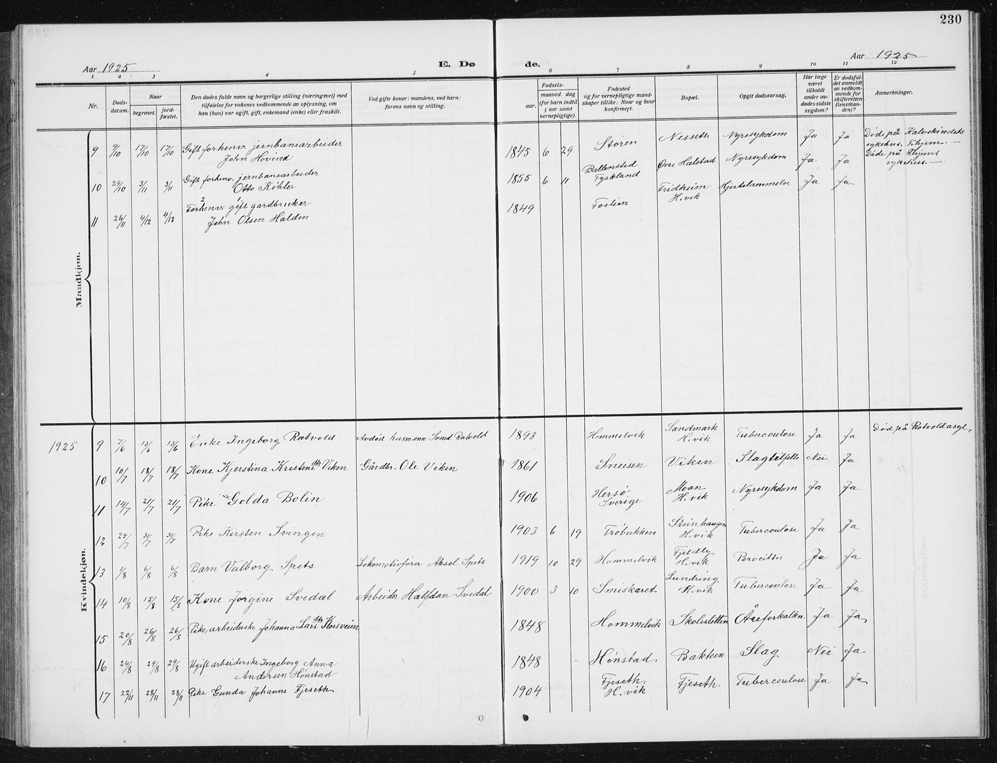 Ministerialprotokoller, klokkerbøker og fødselsregistre - Sør-Trøndelag, AV/SAT-A-1456/617/L0431: Parish register (copy) no. 617C02, 1910-1936, p. 230