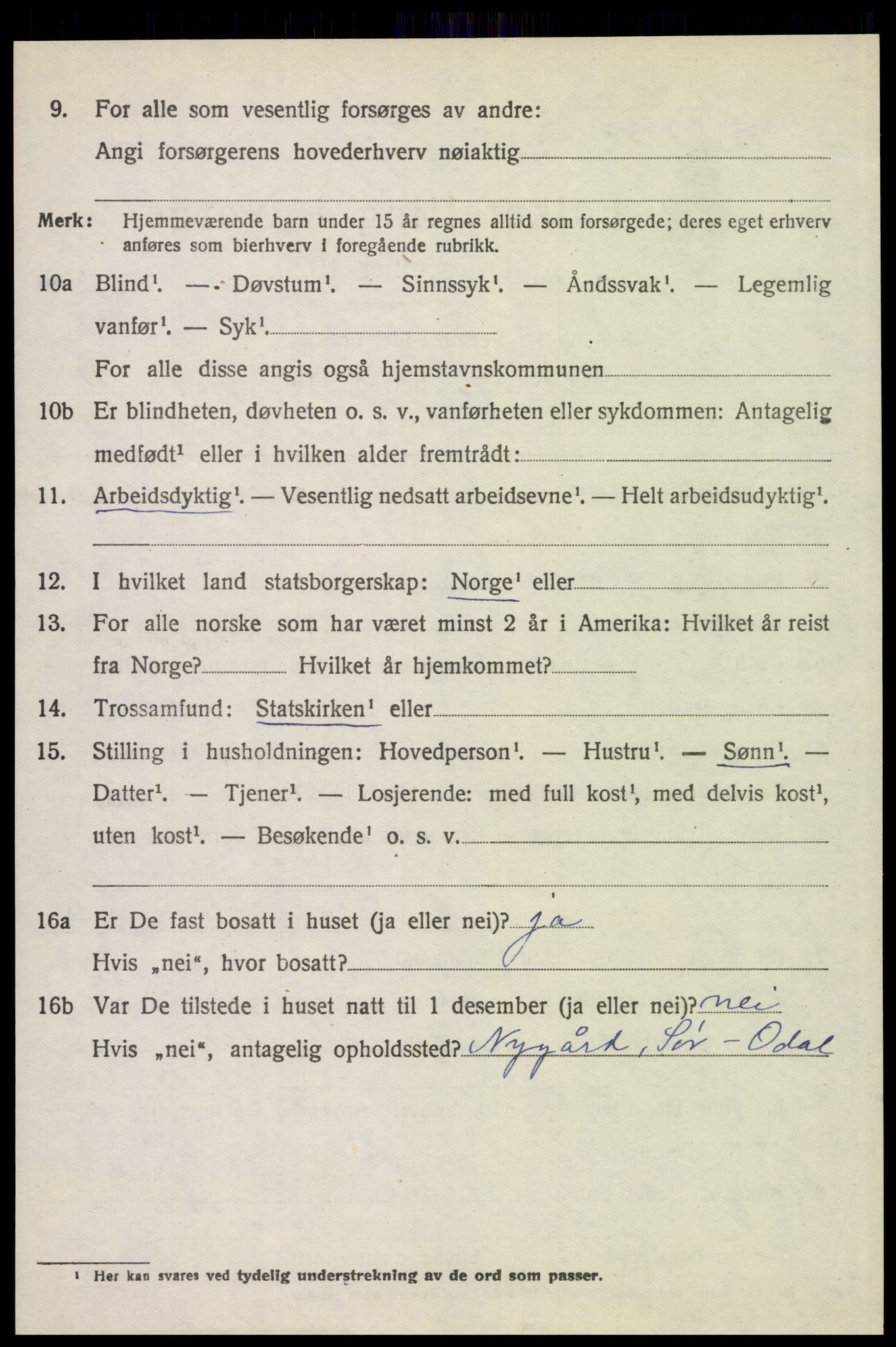 SAH, 1920 census for Sør-Odal, 1920, p. 12190