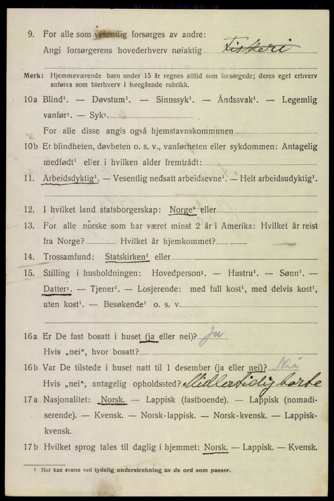 SAT, 1920 census for Bodin, 1920, p. 1873