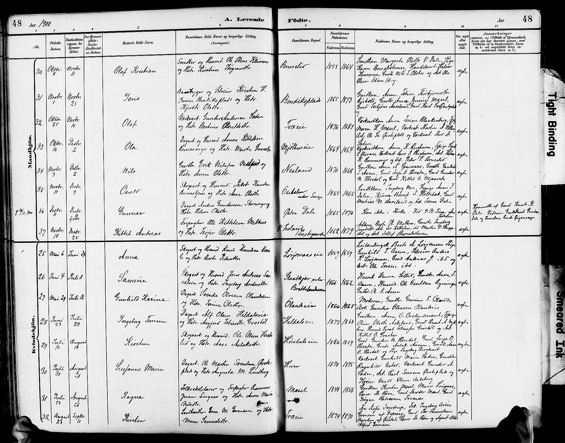 Froland sokneprestkontor, SAK/1111-0013/F/Fb/L0010: Parish register (copy) no. B 10, 1893-1920, p. 48
