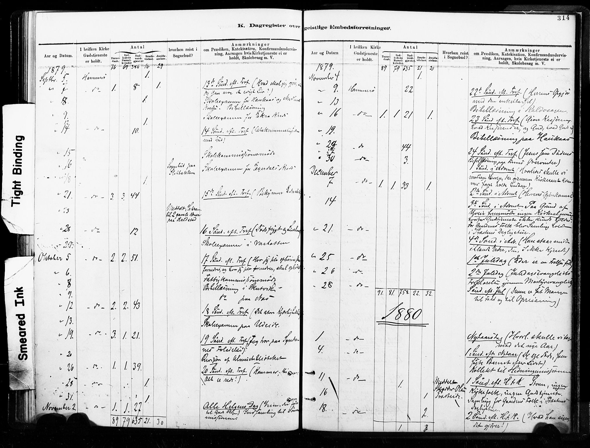 Ministerialprotokoller, klokkerbøker og fødselsregistre - Nordland, SAT/A-1459/859/L0846: Parish register (official) no. 859A06, 1878-1889, p. 314