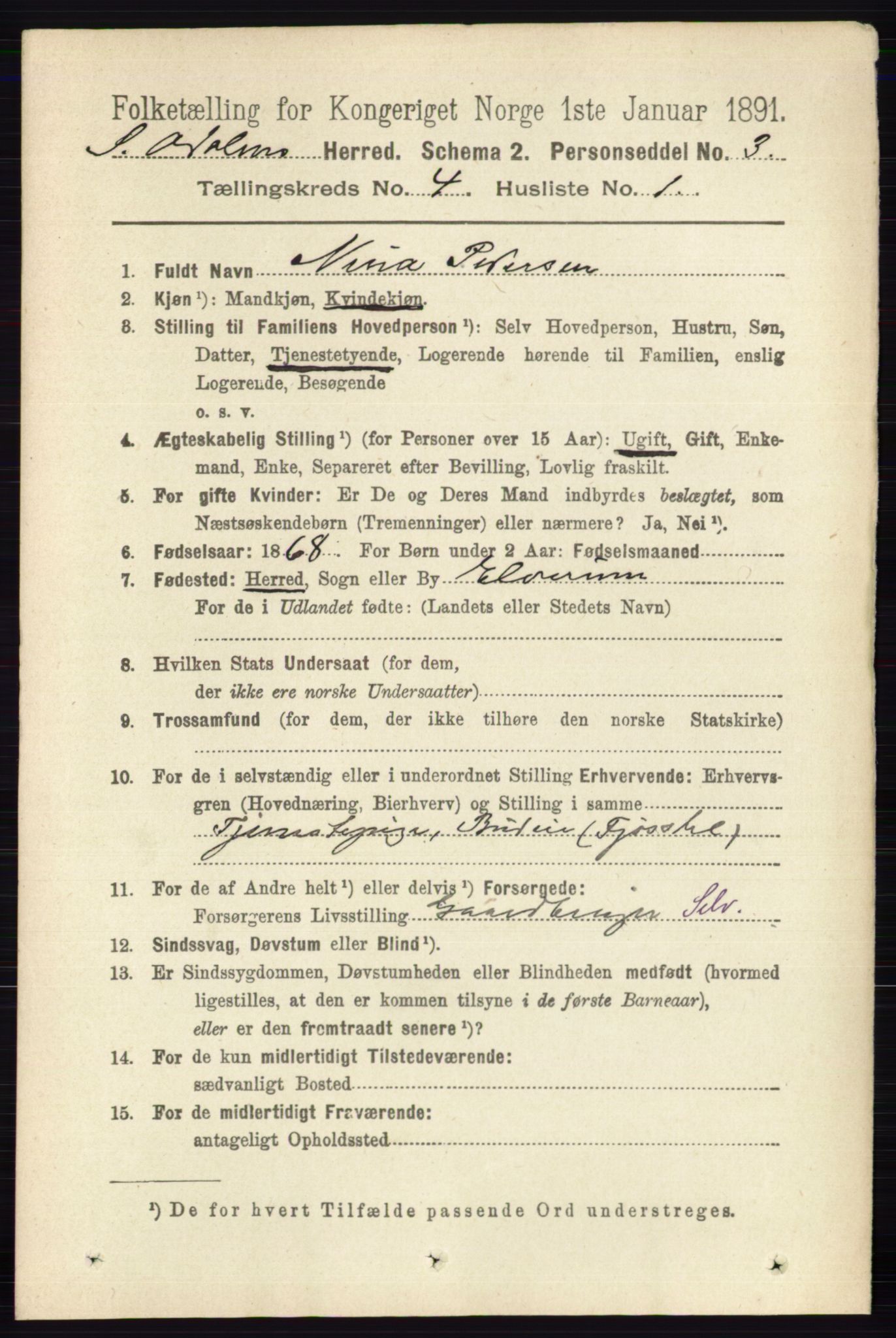 RA, 1891 census for 0419 Sør-Odal, 1891, p. 1742