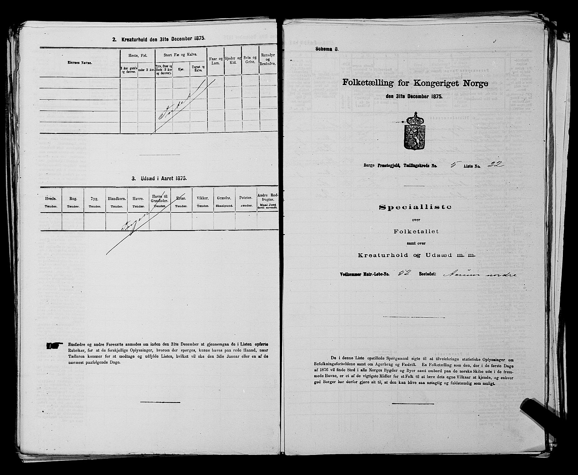 RA, 1875 census for 0113P Borge, 1875, p. 796