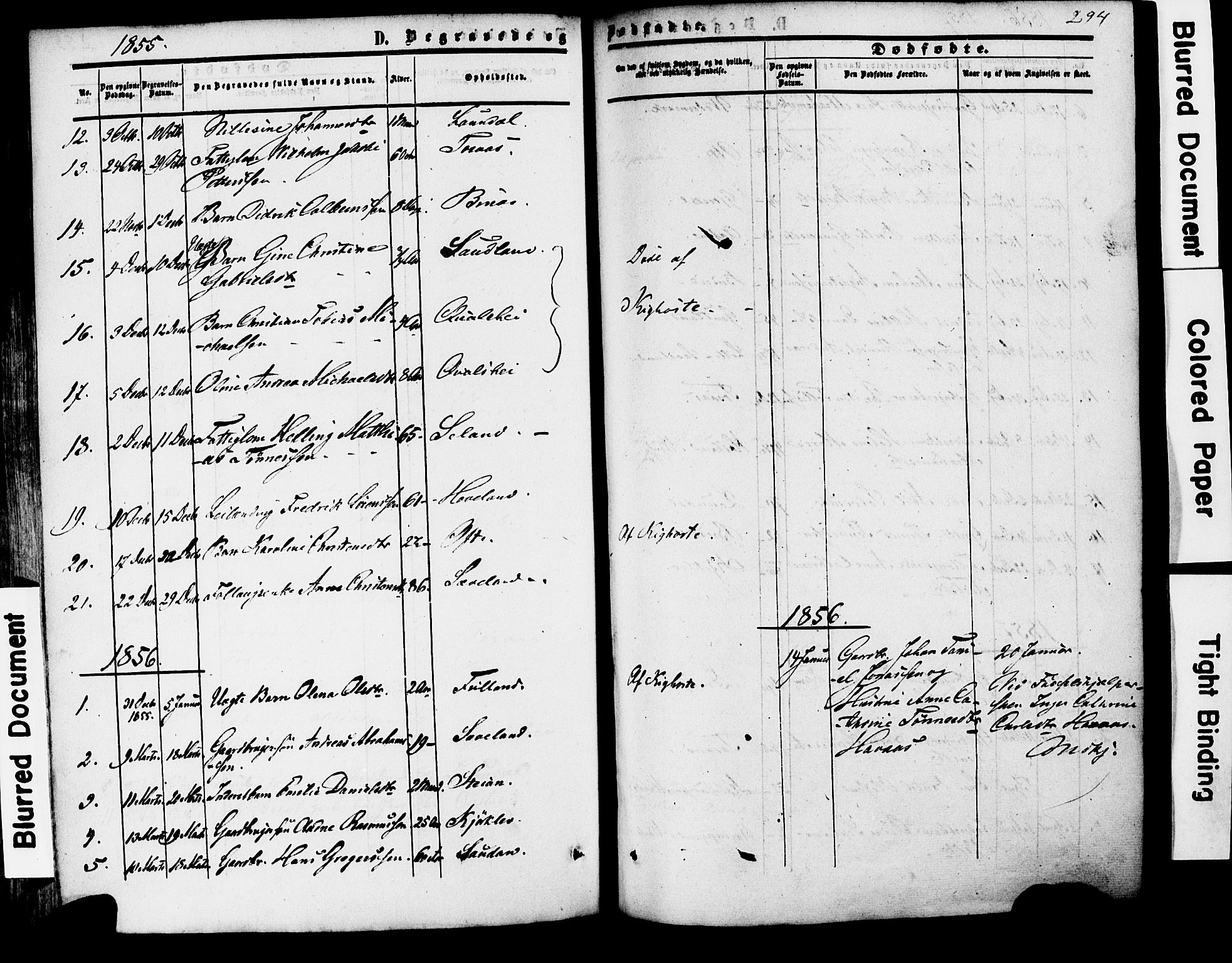 Herad sokneprestkontor, AV/SAK-1111-0018/F/Fa/Faa/L0005: Parish register (official) no. A 5, 1853-1886, p. 294