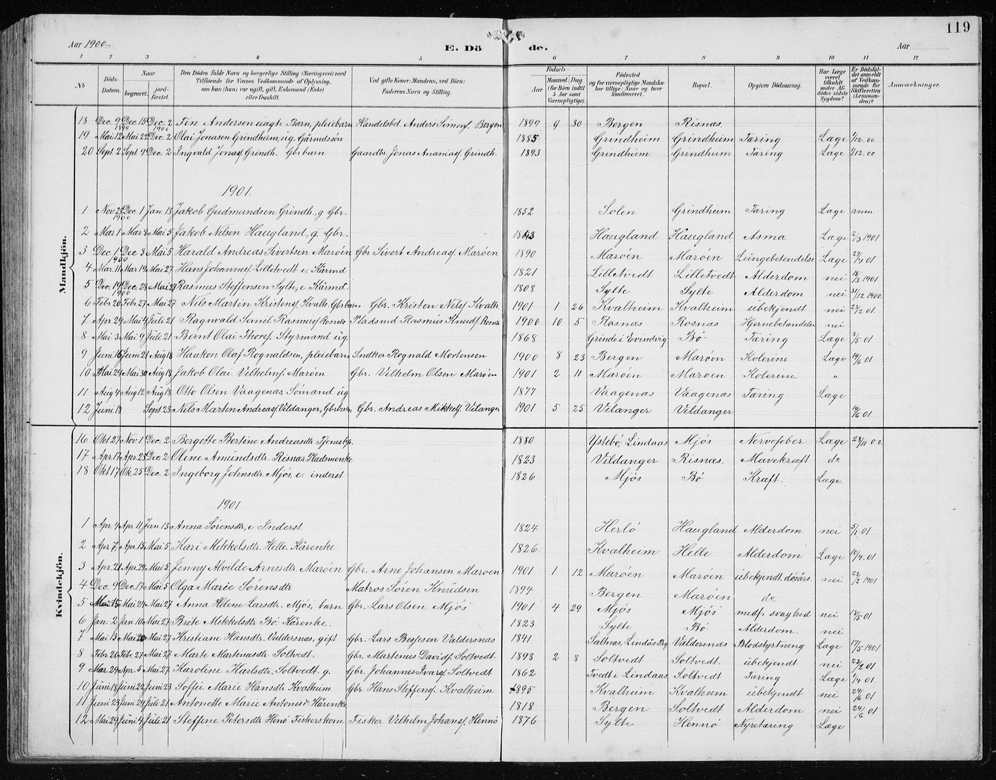 Manger sokneprestembete, AV/SAB-A-76801/H/Hab: Parish register (copy) no. B 3, 1891-1907, p. 119