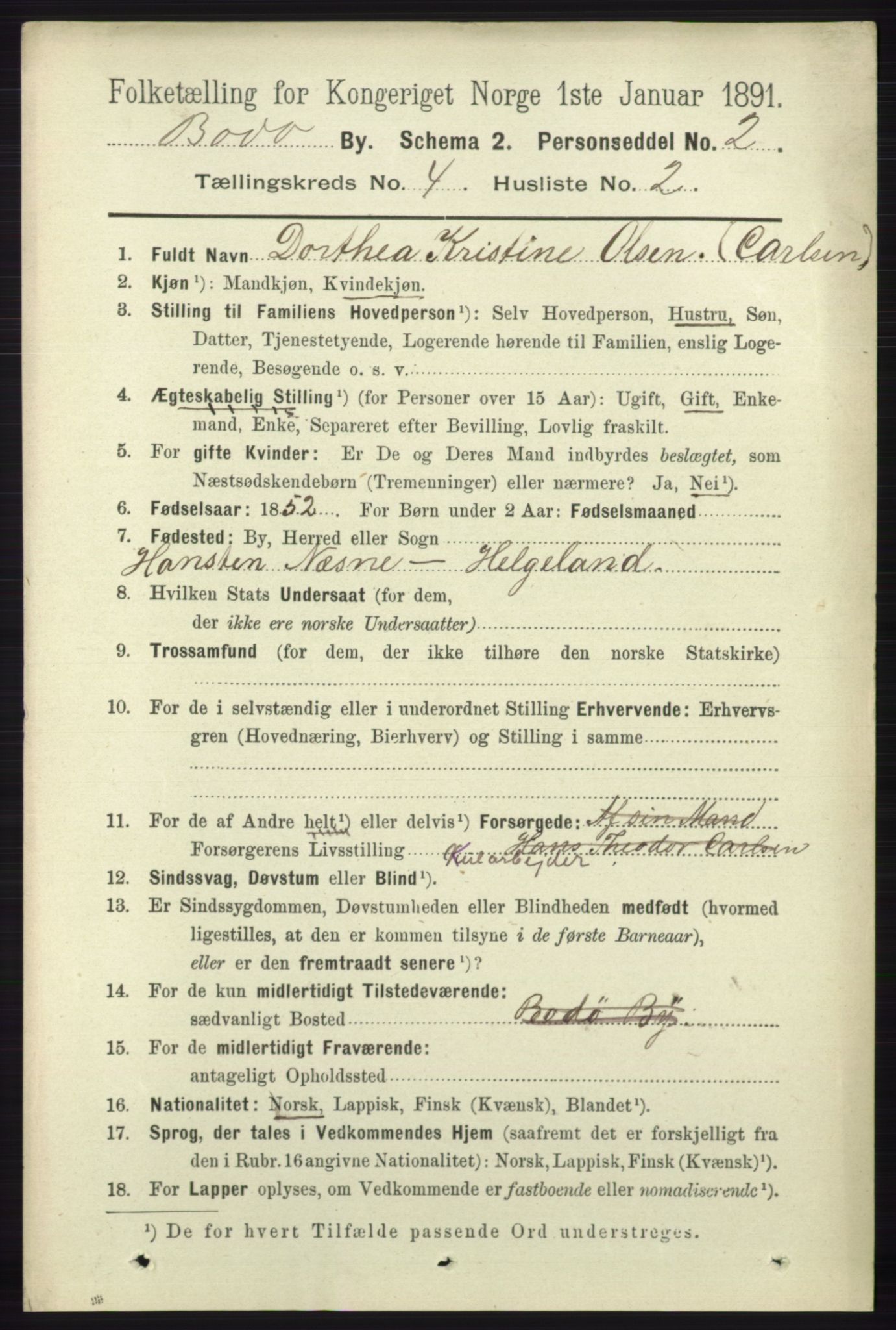 RA, 1891 census for 1804 Bodø, 1891, p. 3022