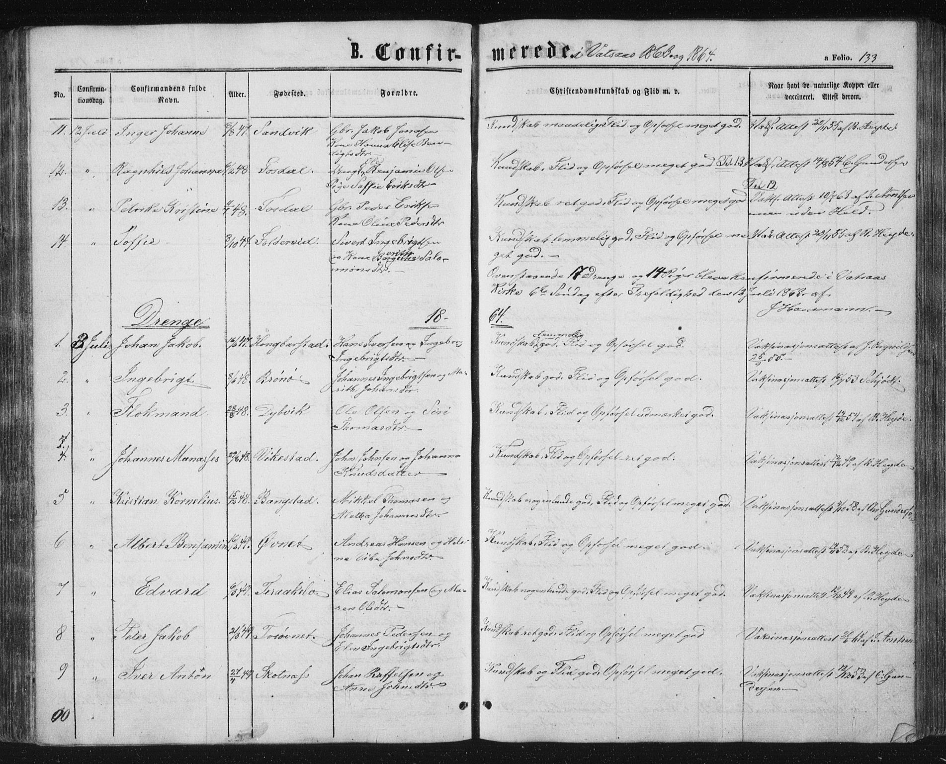 Ministerialprotokoller, klokkerbøker og fødselsregistre - Nordland, AV/SAT-A-1459/810/L0158: Parish register (copy) no. 810C02 /1, 1863-1883, p. 133