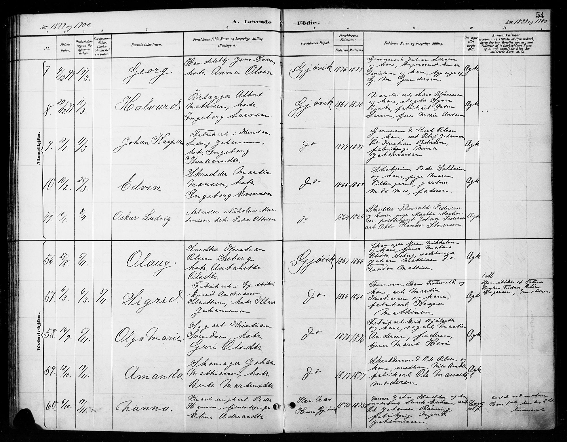 Vardal prestekontor, AV/SAH-PREST-100/H/Ha/Haa/L0011: Parish register (official) no. 11, 1891-1901, p. 54