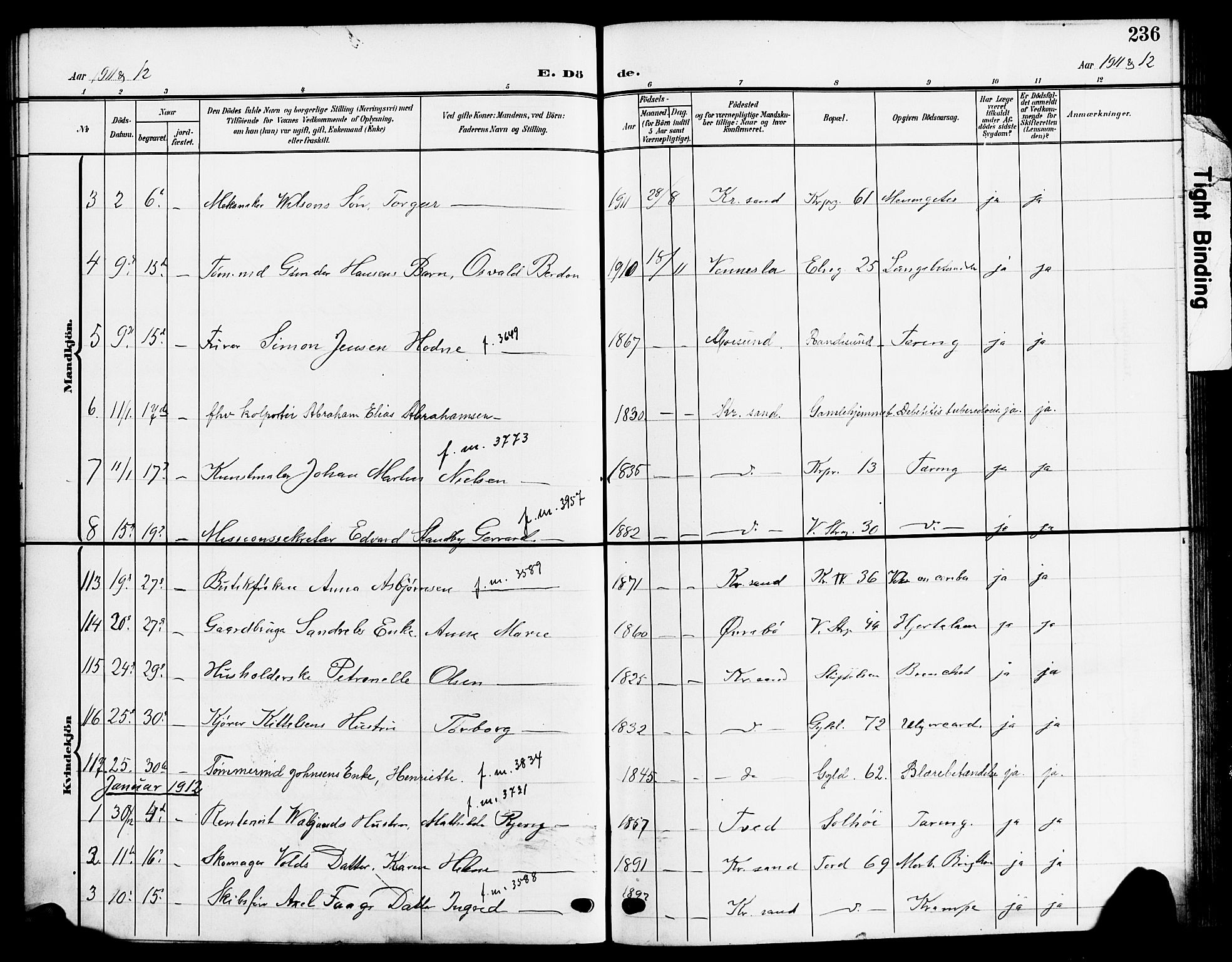 Kristiansand domprosti, AV/SAK-1112-0006/F/Fb/L0020: Parish register (copy) no. B 20, 1906-1915, p. 236