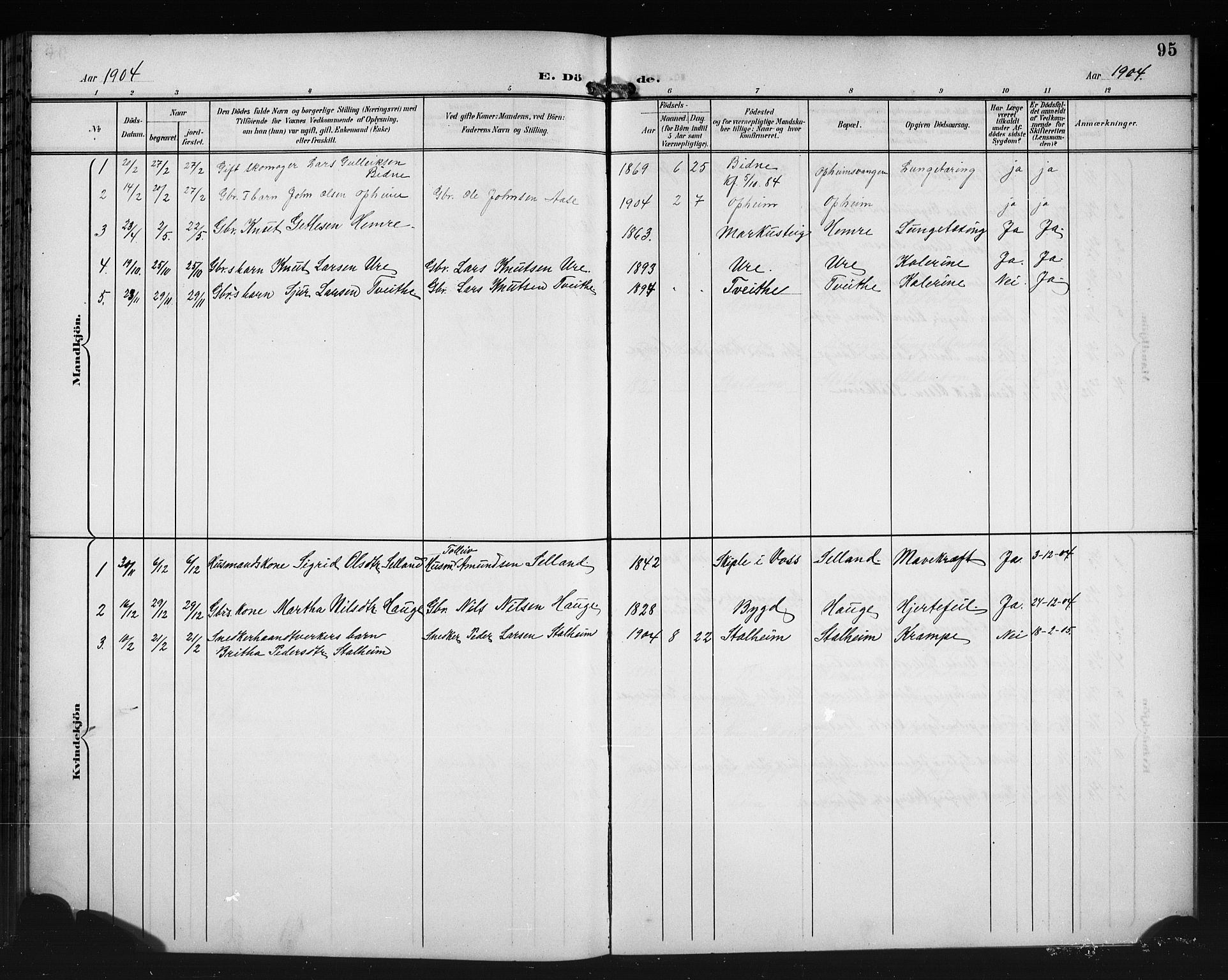 Vossestrand Sokneprestembete, SAB/A-79101/H/Hab: Parish register (copy) no. A 3, 1900-1918, p. 95
