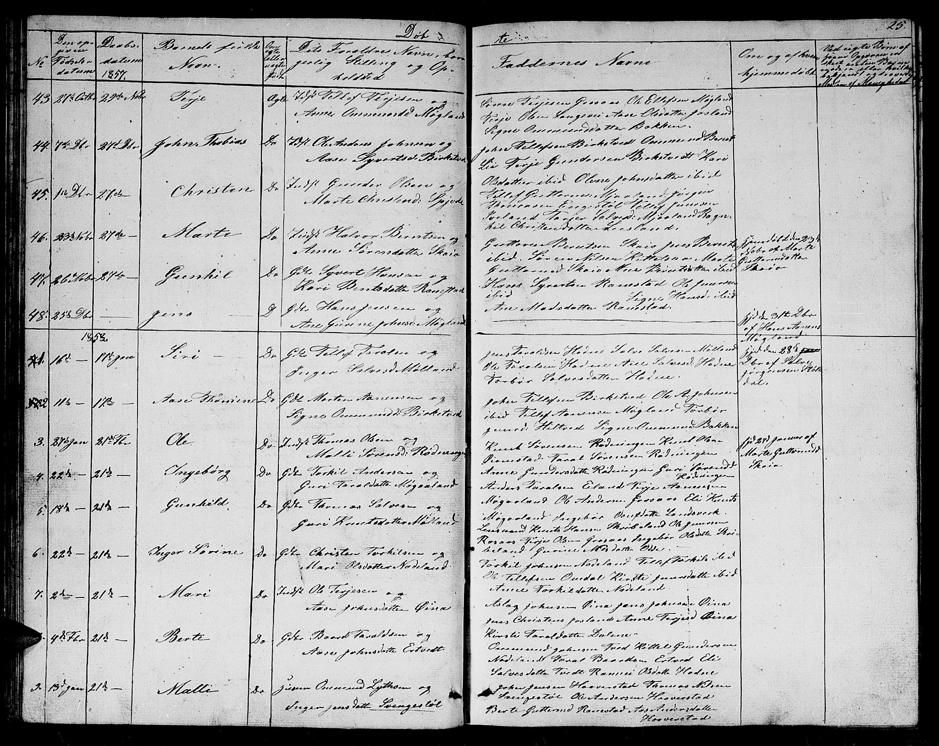Evje sokneprestkontor, SAK/1111-0008/F/Fb/Fbc/L0002: Parish register (copy) no. B 2, 1849-1876, p. 25