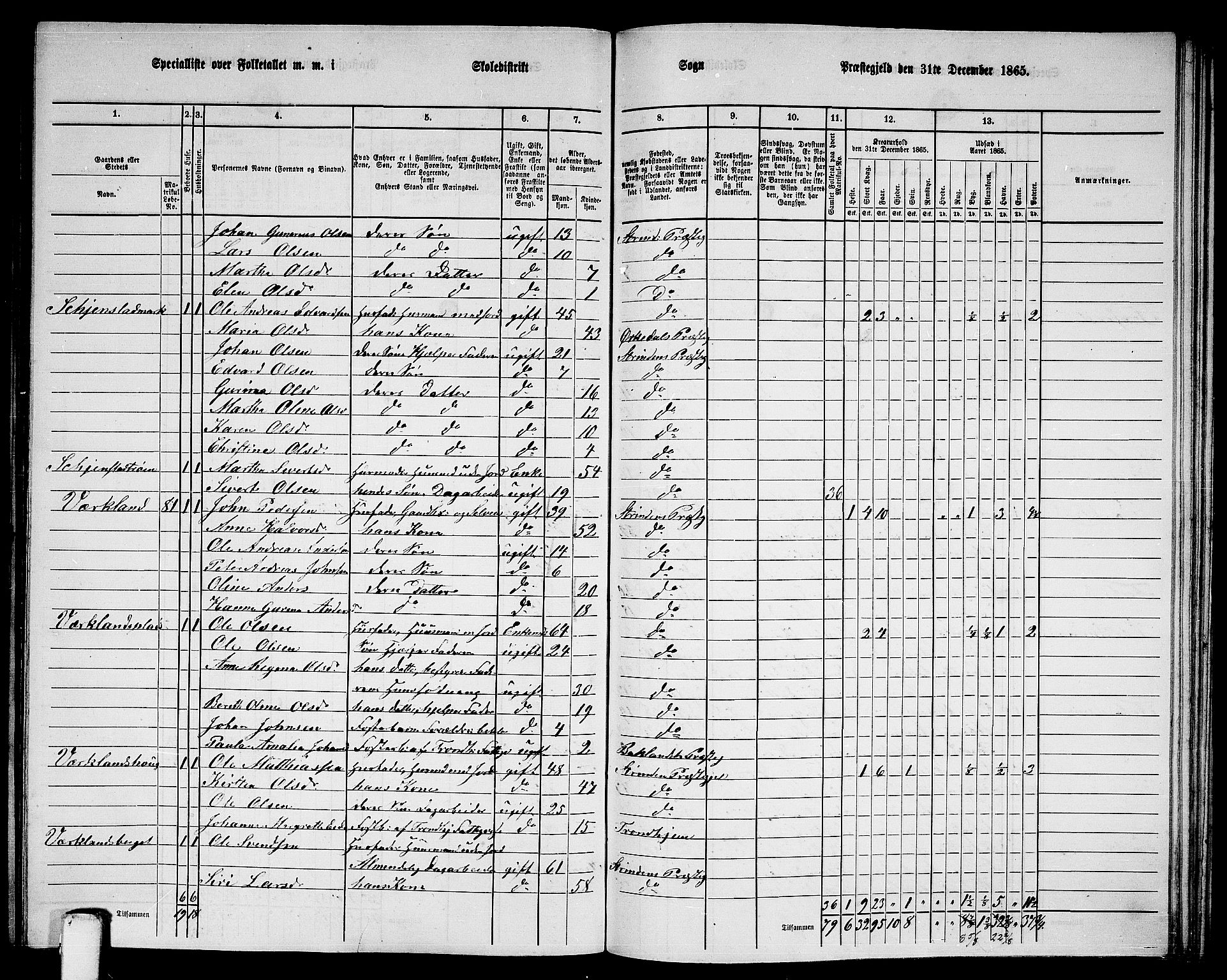 RA, 1865 census for Strinda, 1865, p. 214