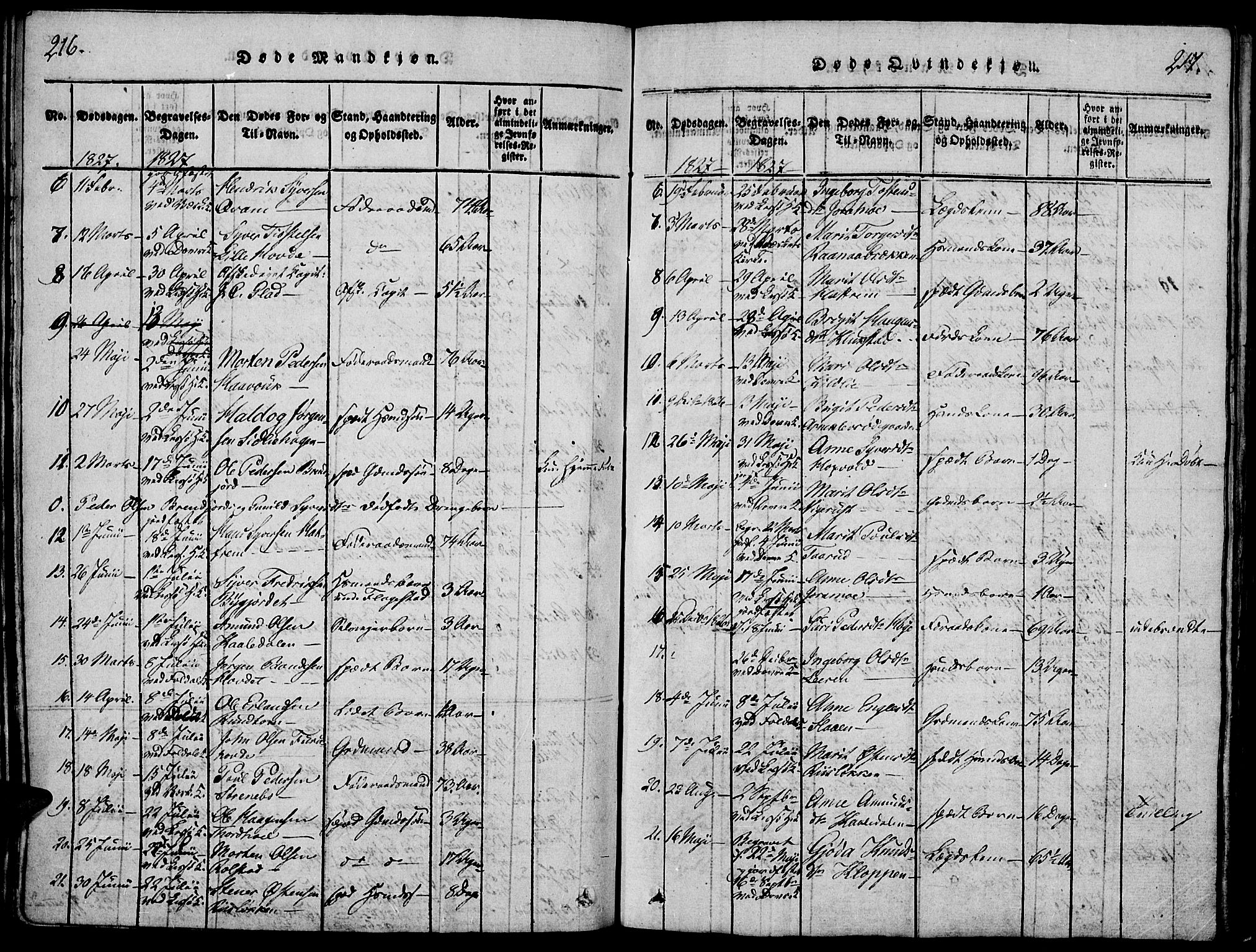 Lesja prestekontor, SAH/PREST-068/H/Ha/Haa/L0004: Parish register (official) no. 4, 1820-1829, p. 216-217