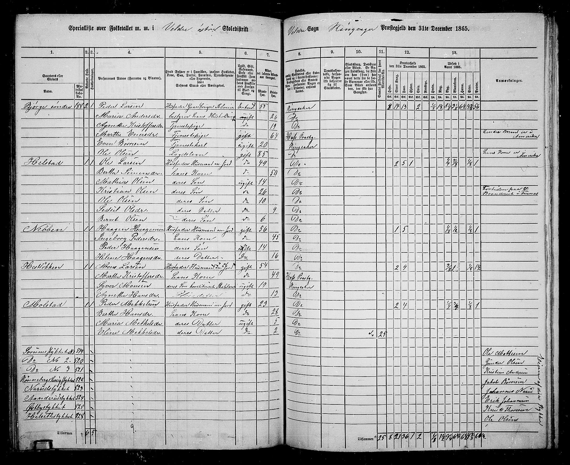 RA, 1865 census for Ringsaker, 1865, p. 199