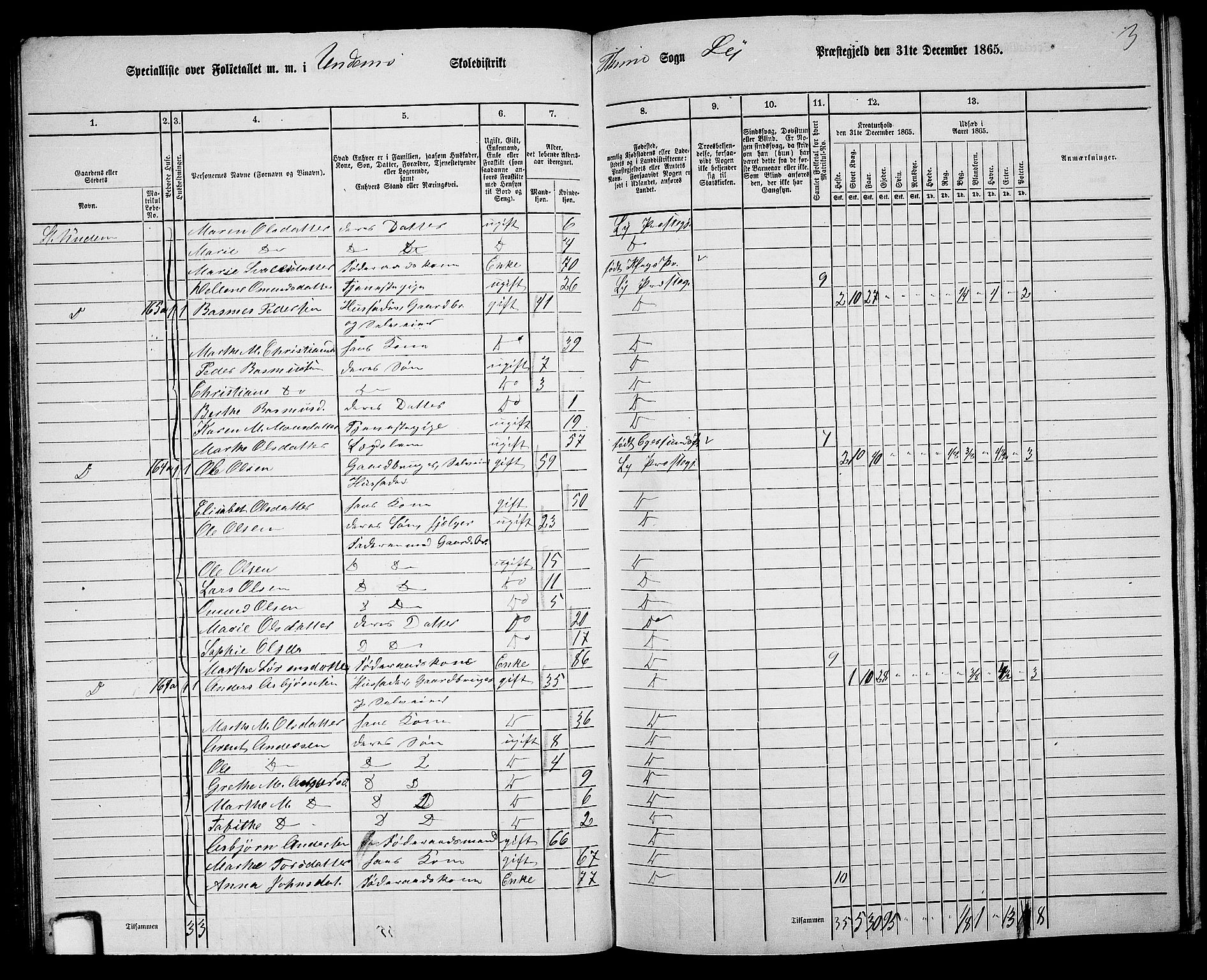 RA, 1865 census for Lye, 1865, p. 67