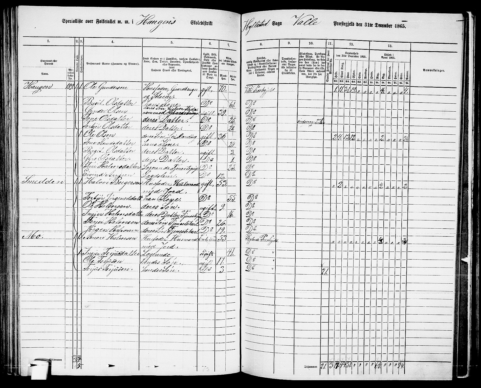 RA, 1865 census for Valle, 1865, p. 116