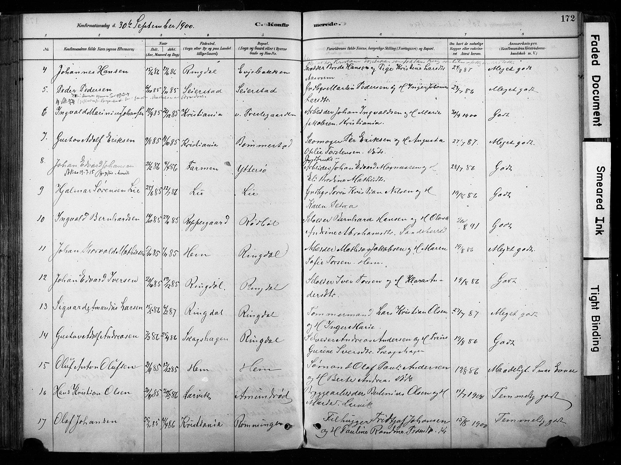 Hedrum kirkebøker, AV/SAKO-A-344/F/Fa/L0009: Parish register (official) no. I 9, 1881-1903, p. 172