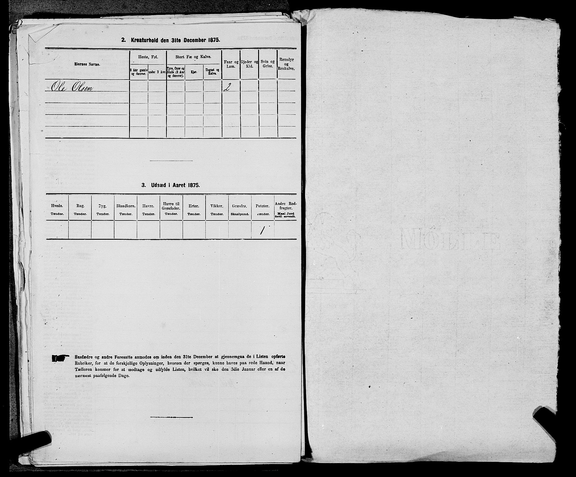 SAST, 1875 census for 1138P Jelsa, 1875, p. 845